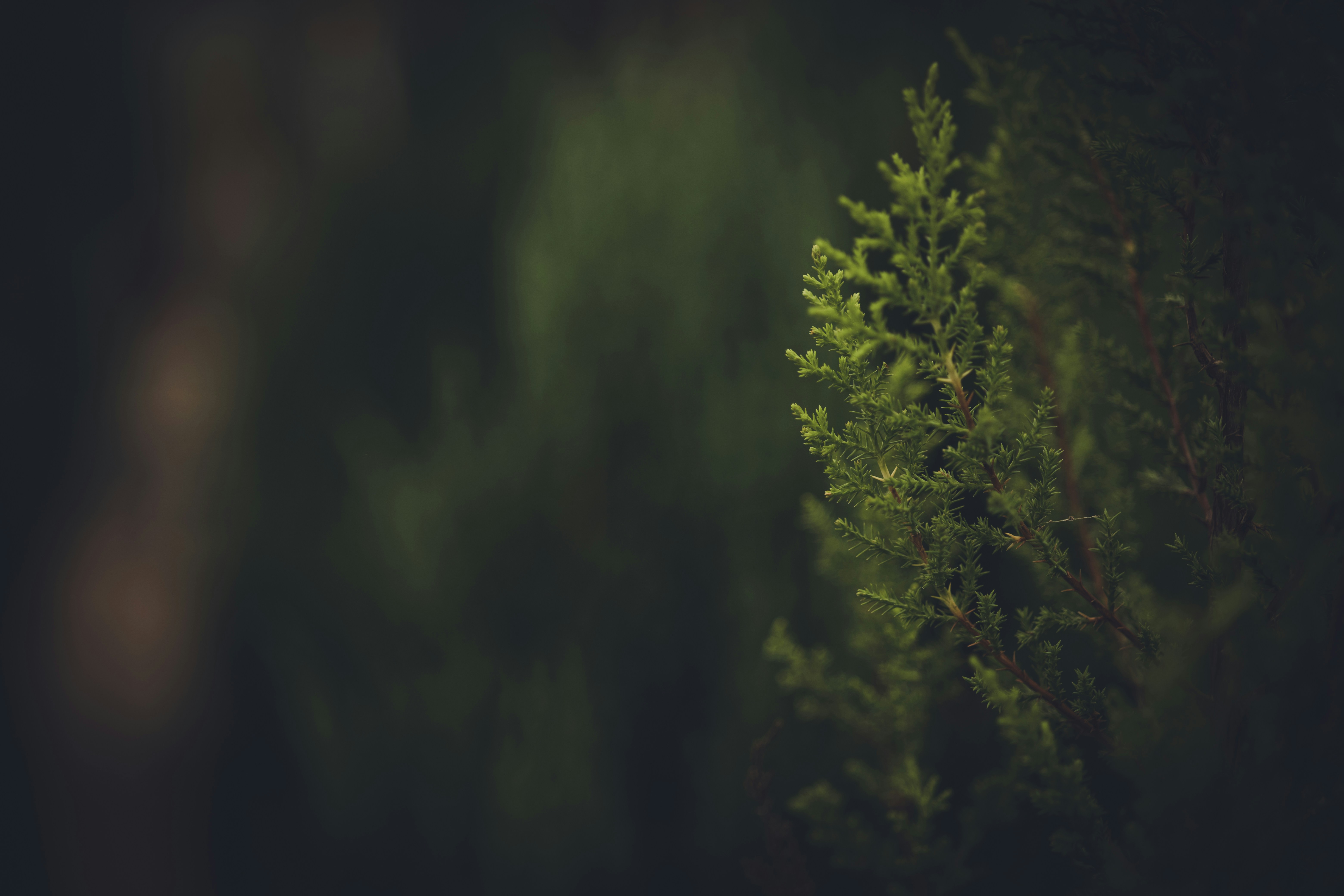 Photo by rrodriguesim