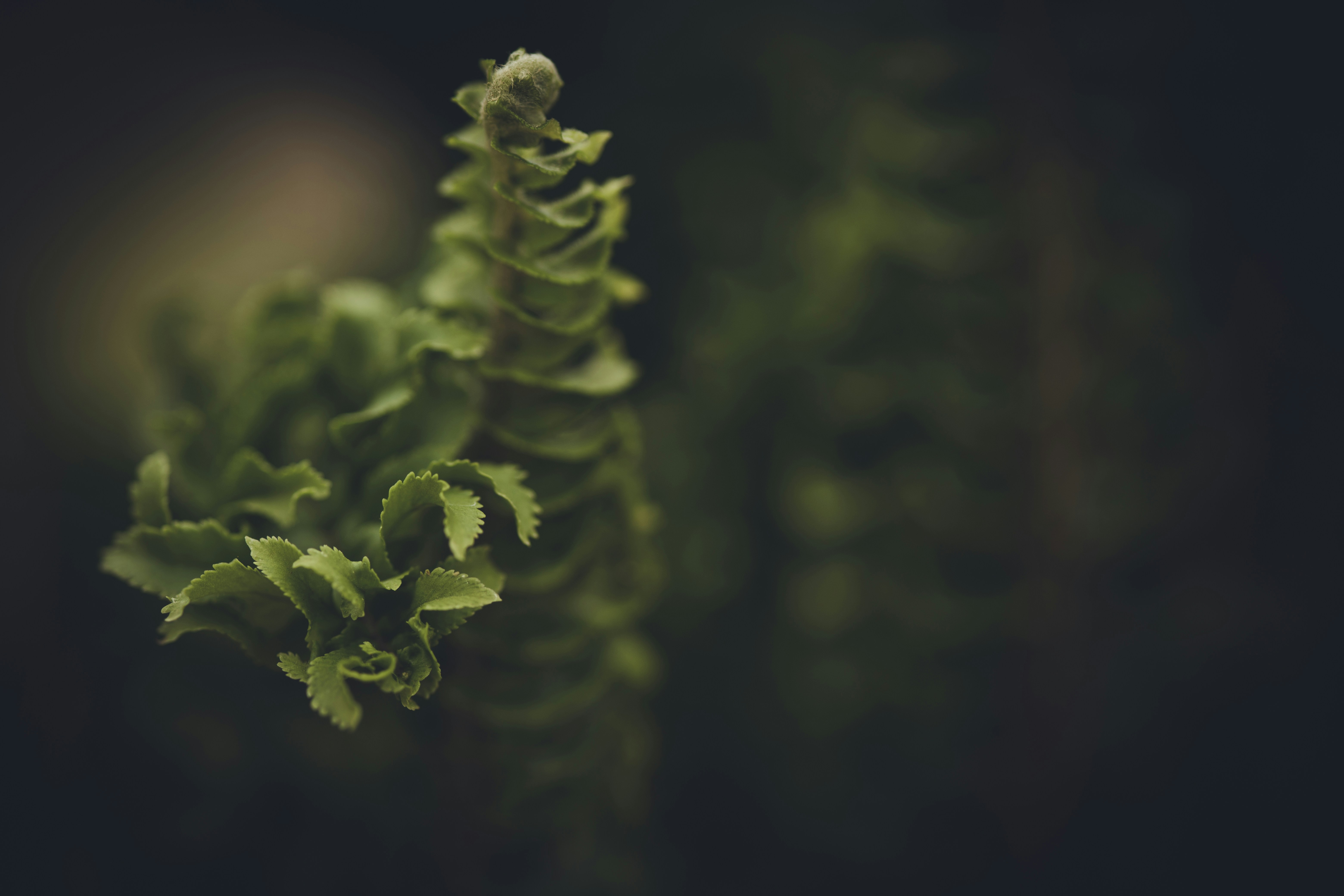 Photo by rrodriguesim