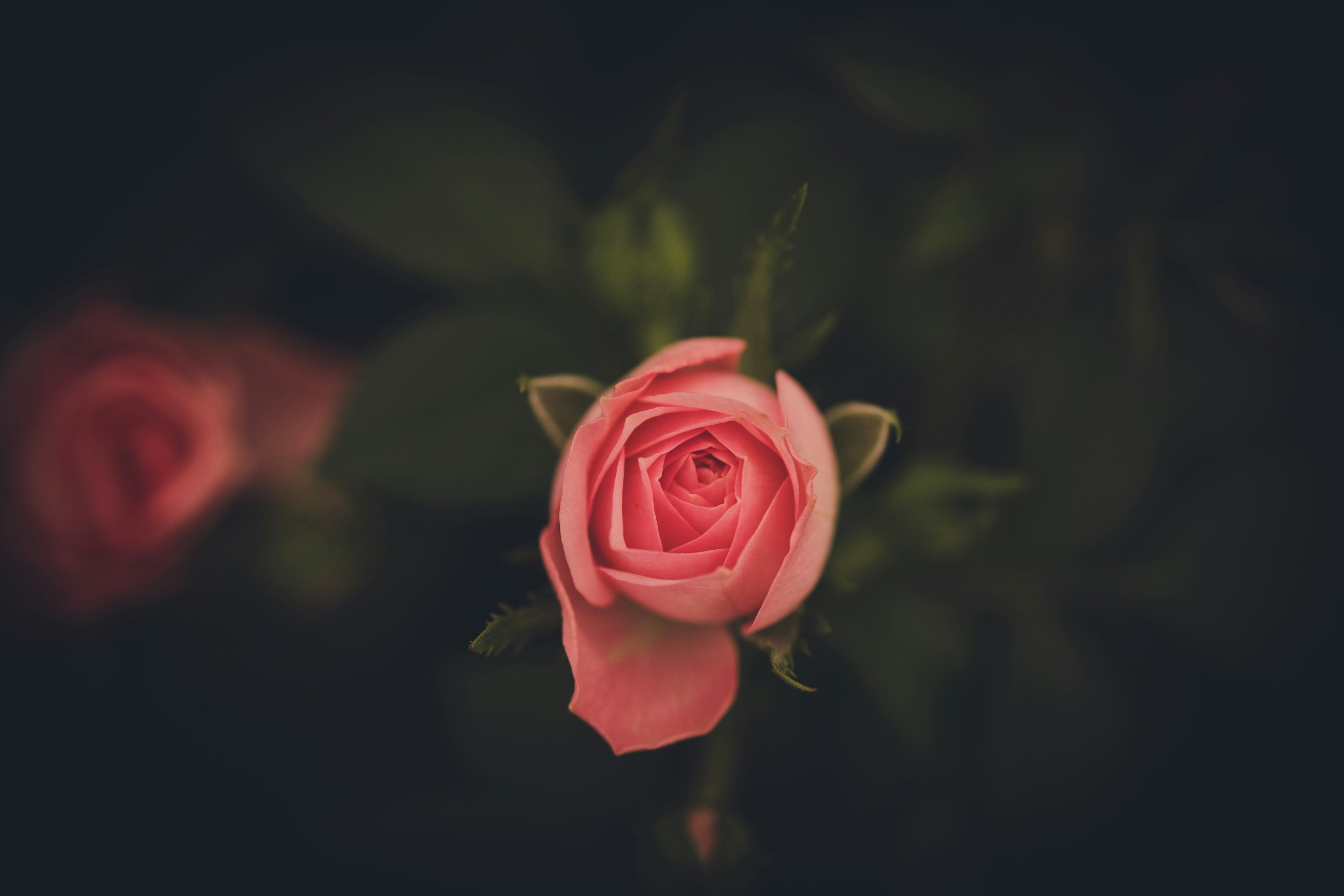 Photo by rrodriguesim