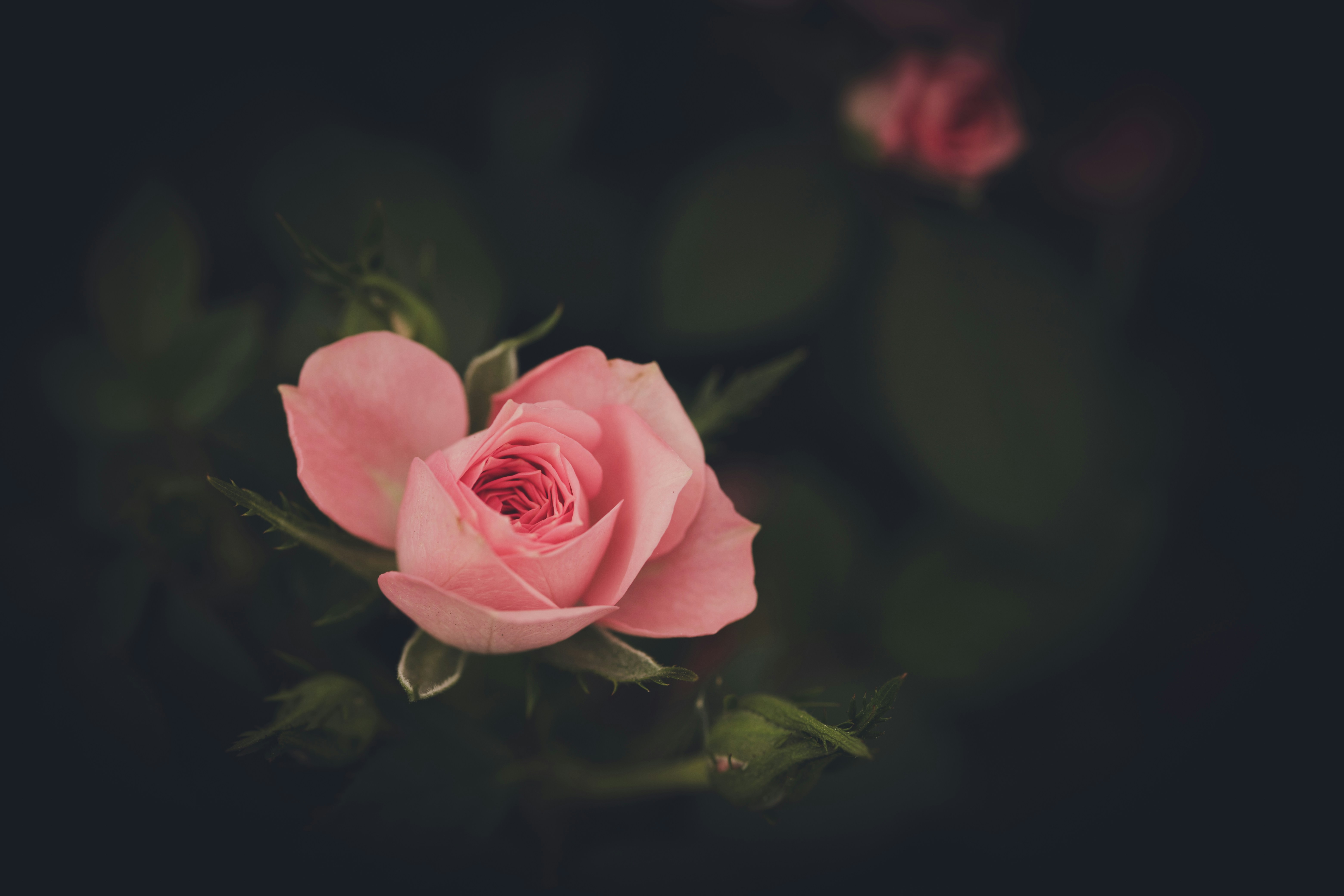 Photo by rrodriguesim