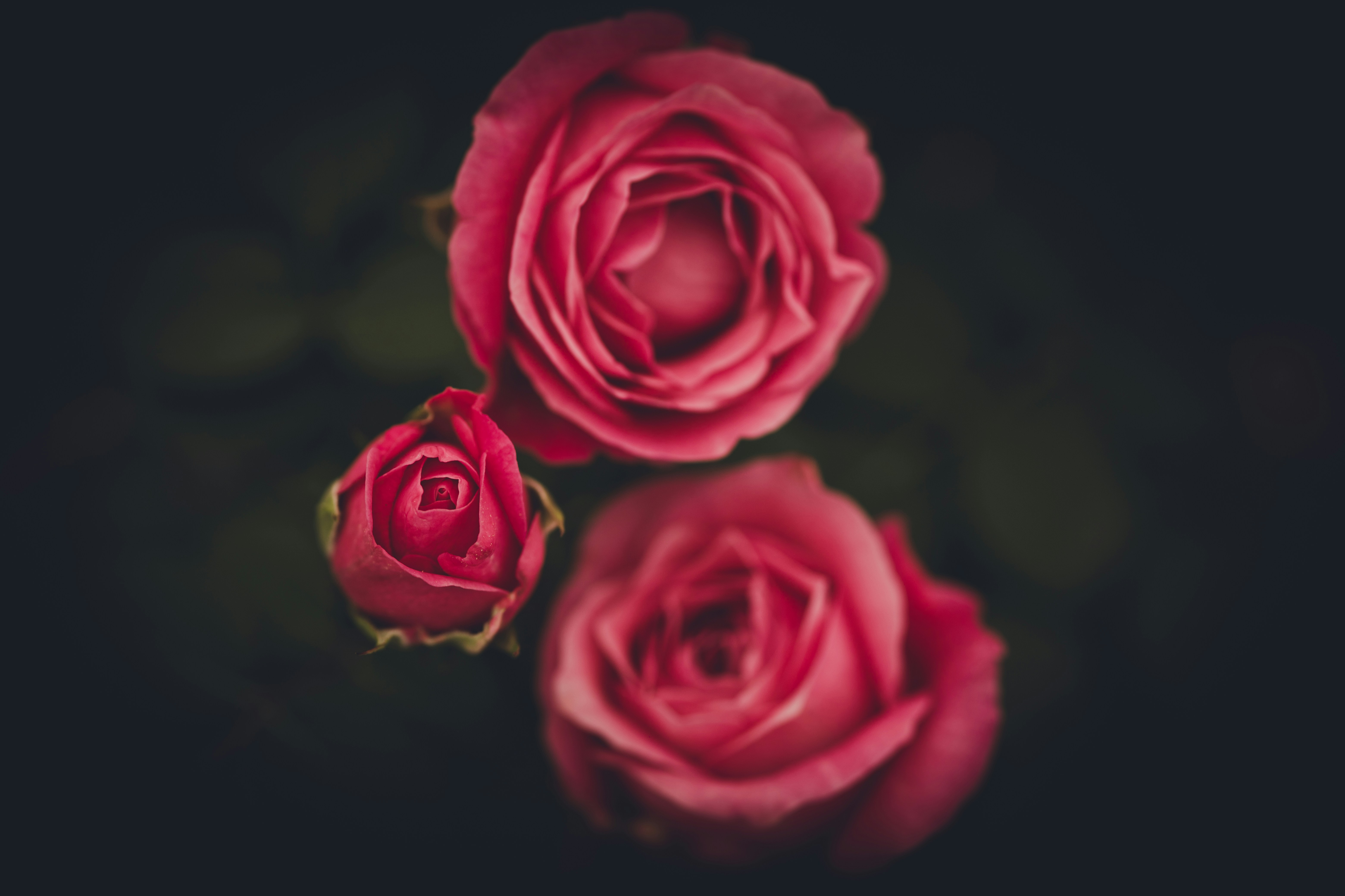 Photo by rrodriguesim