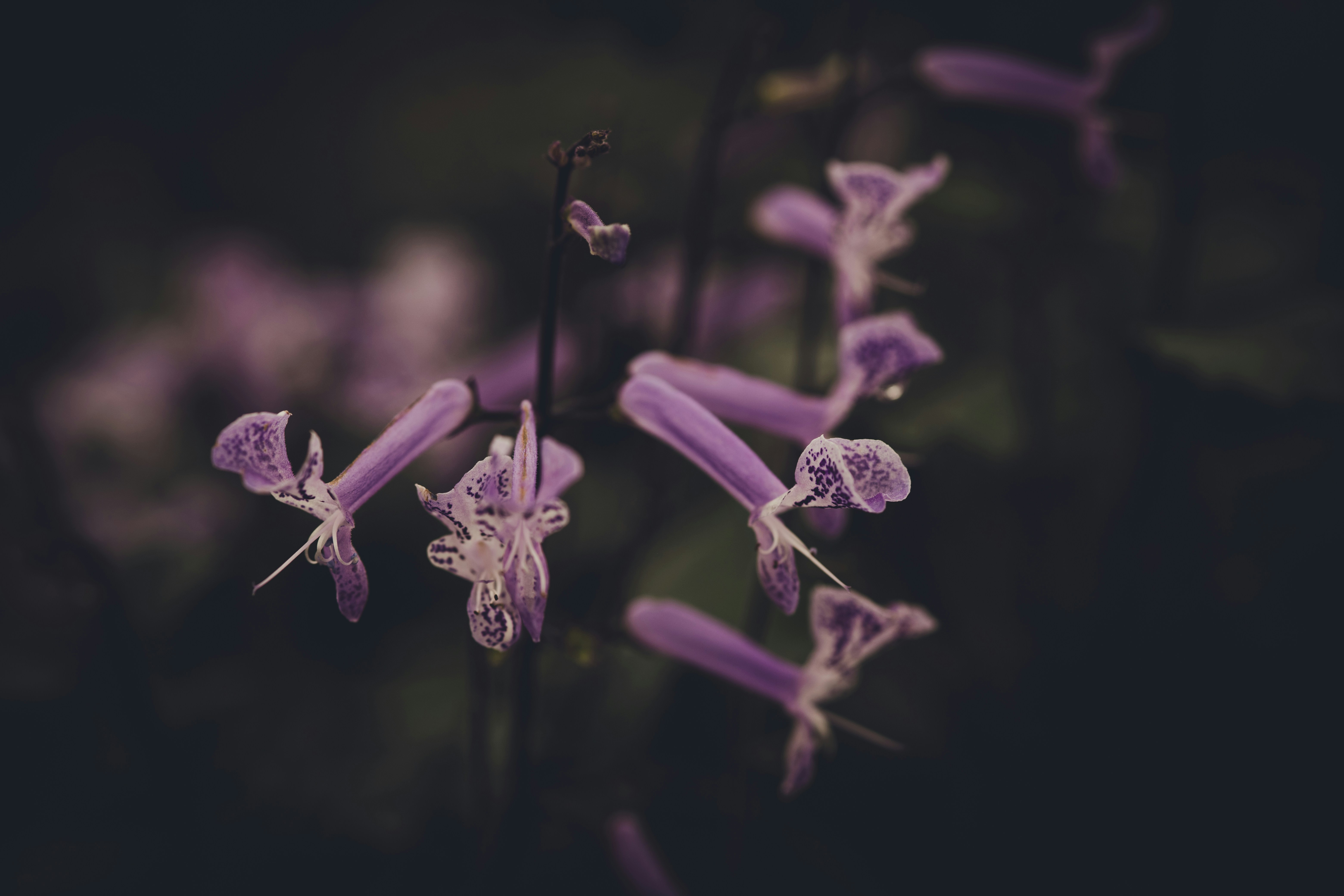 Photo by rrodriguesim