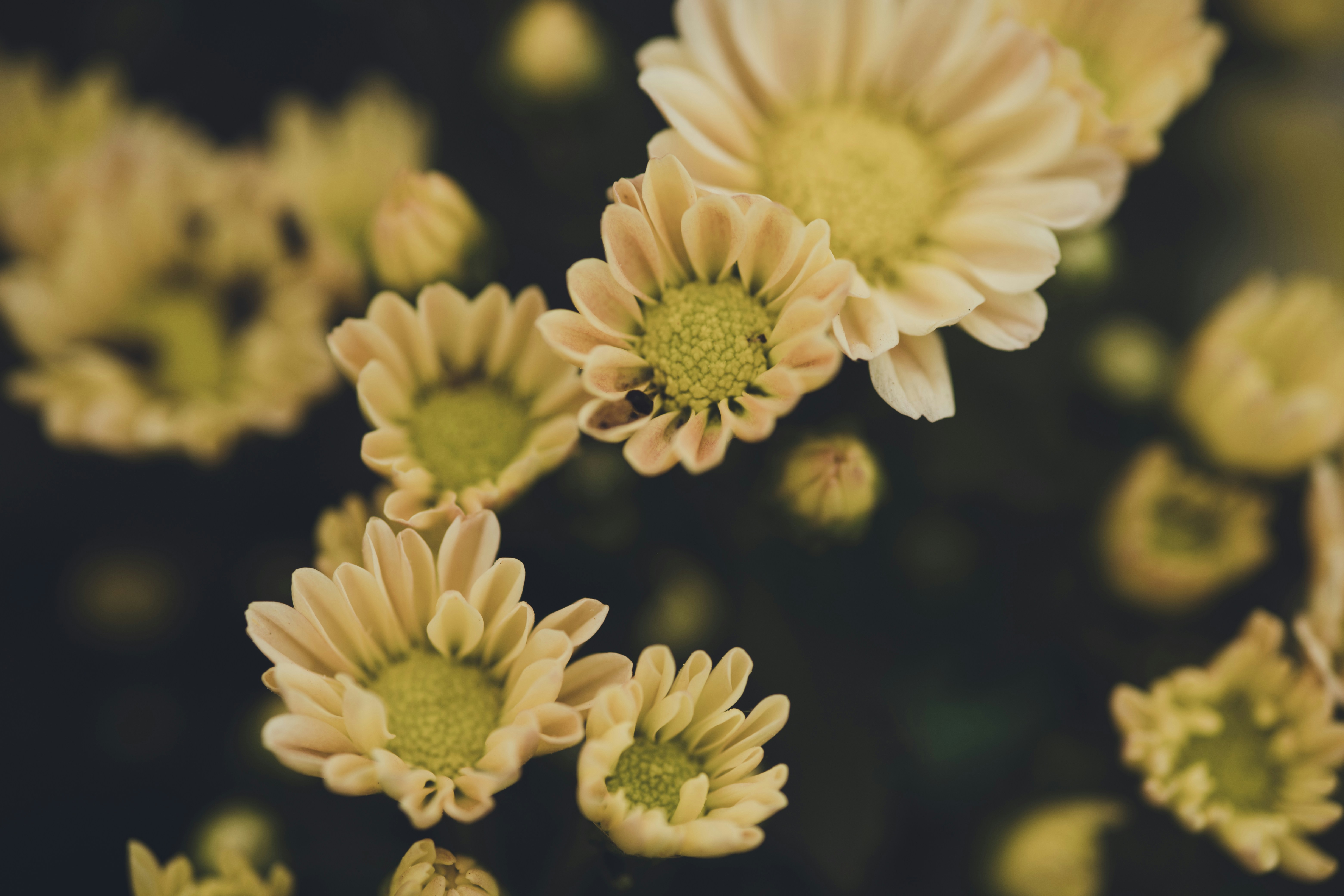 Photo by rrodriguesim