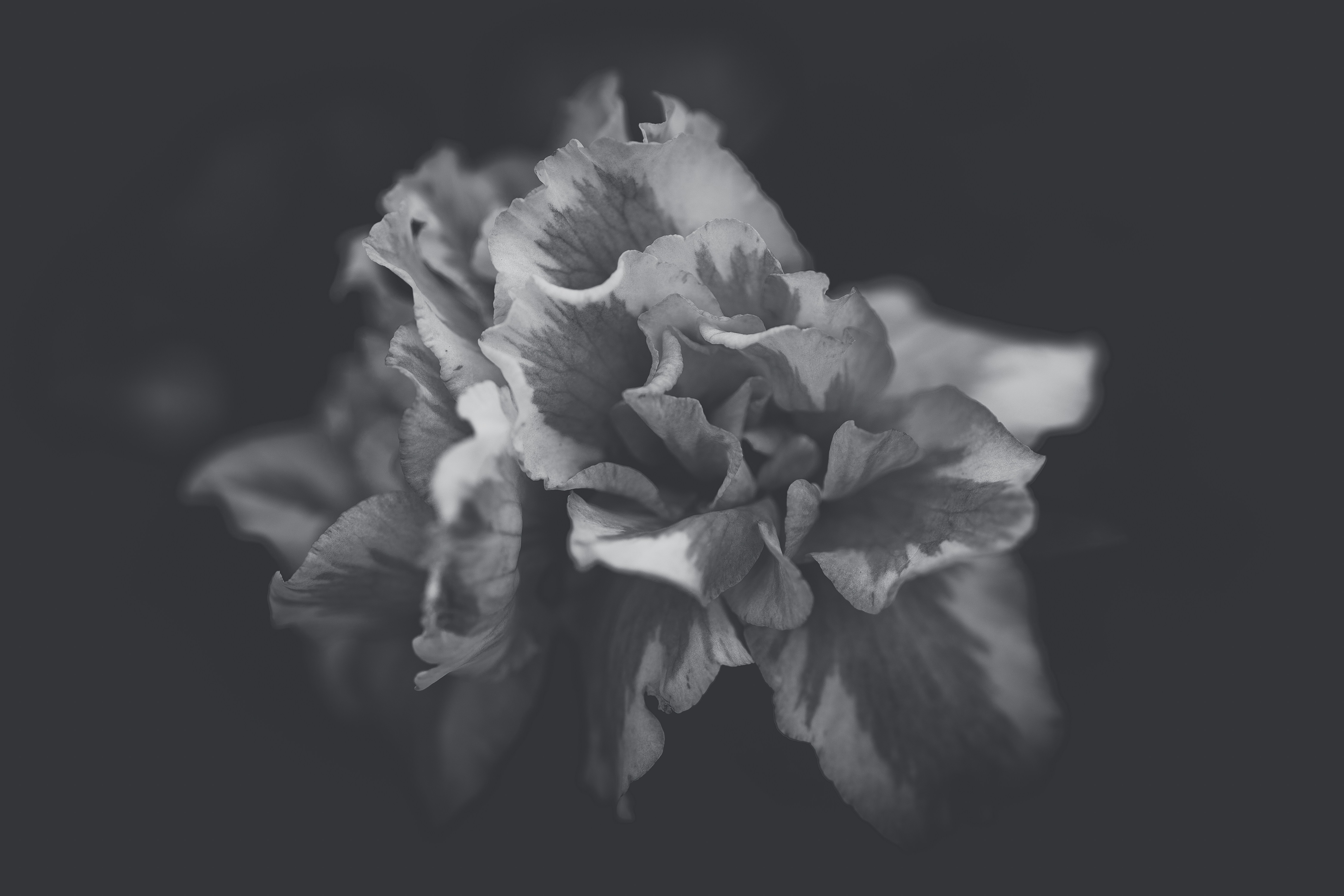 Photo by rrodriguesim