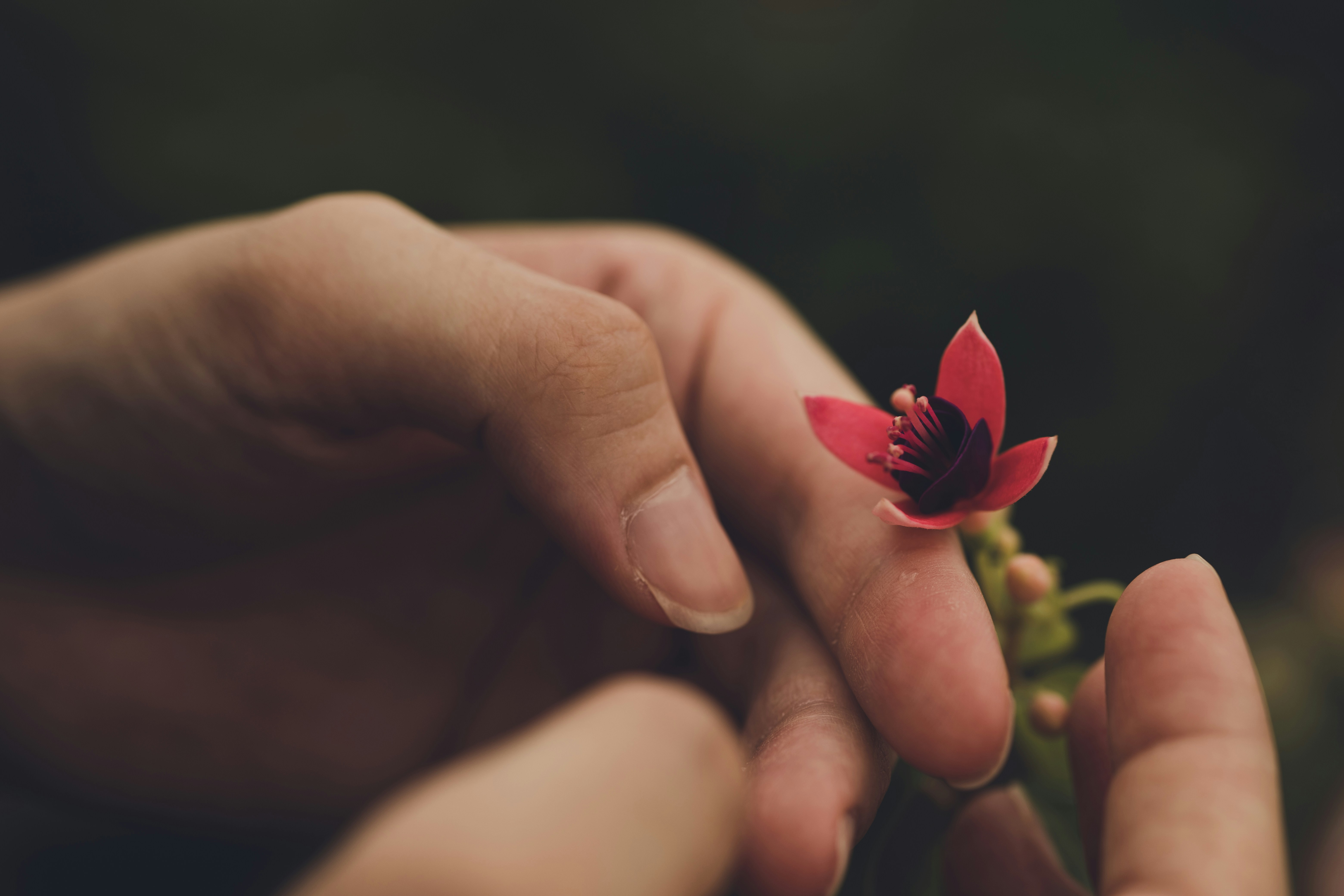 Photo by rrodriguesim