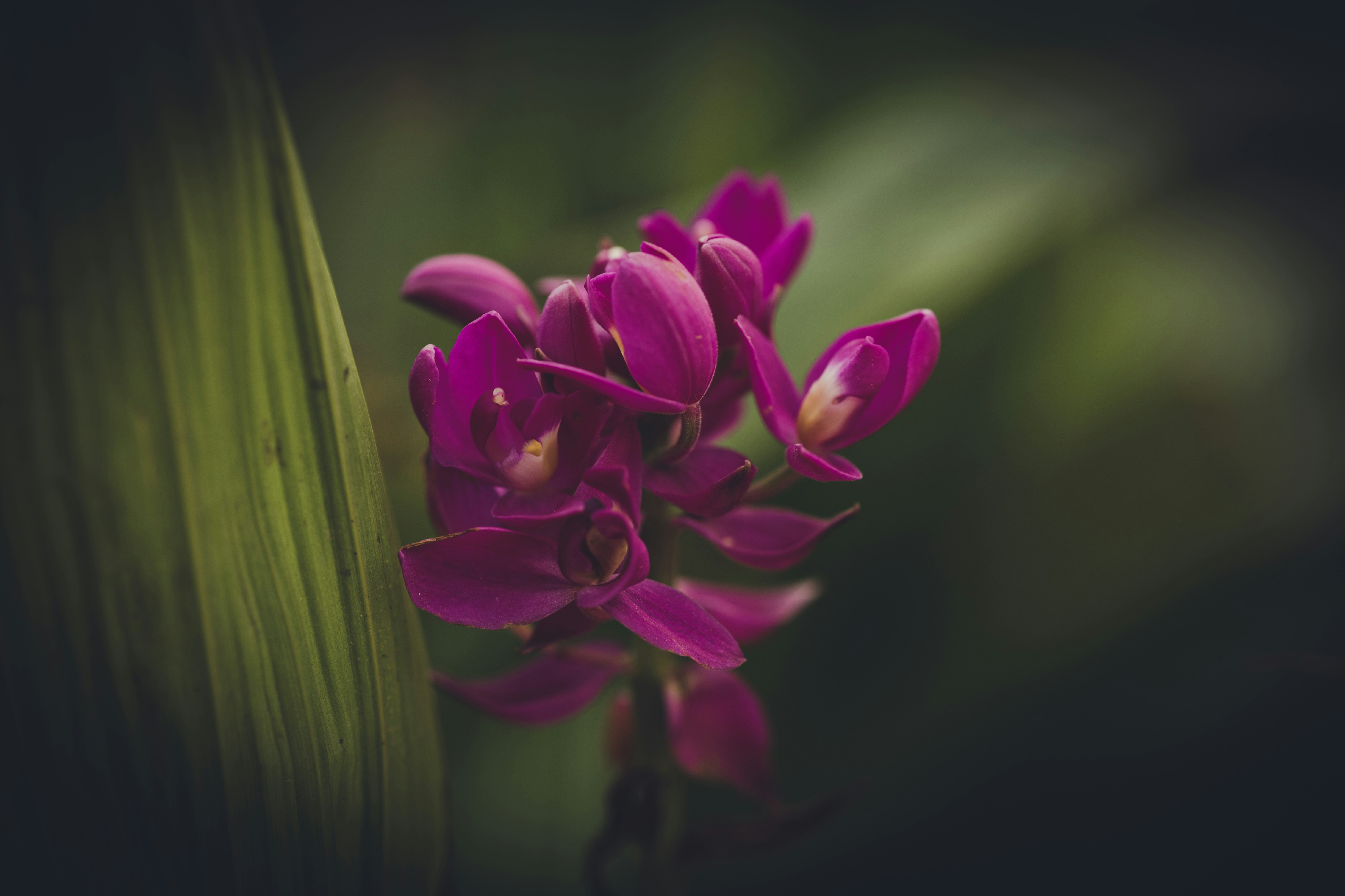 Photo by rrodriguesim