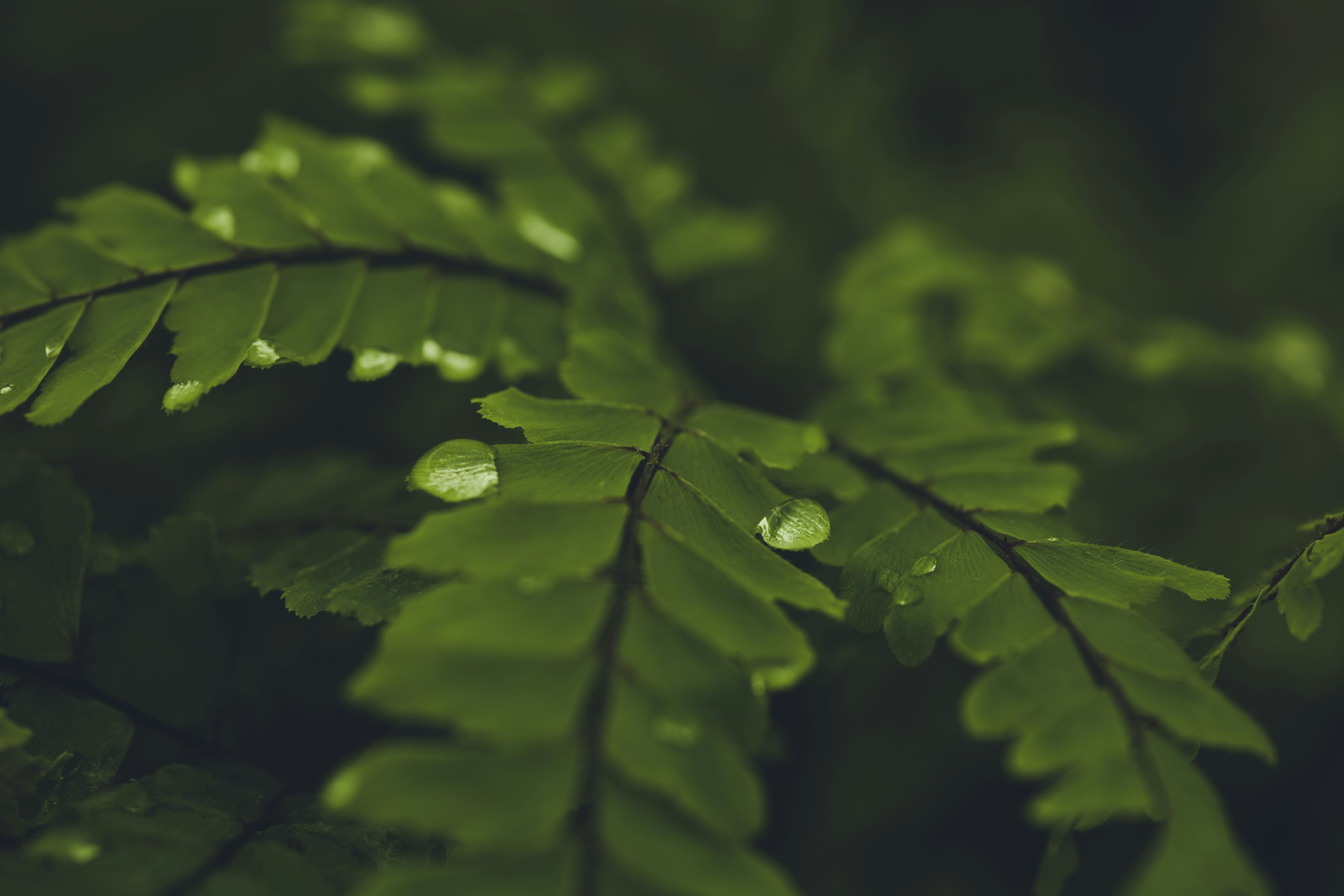 Photo by rrodriguesim