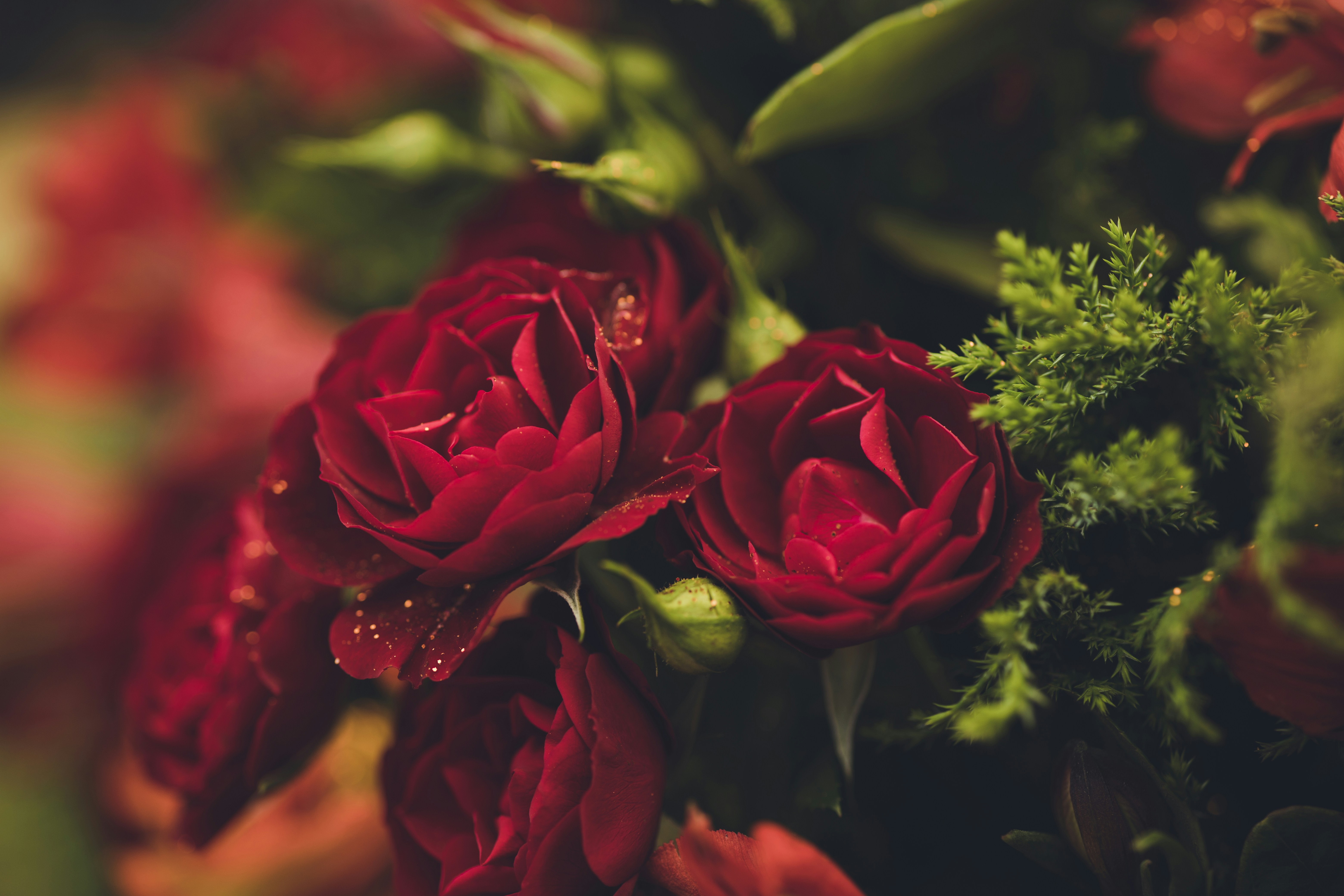 Photo by rrodriguesim