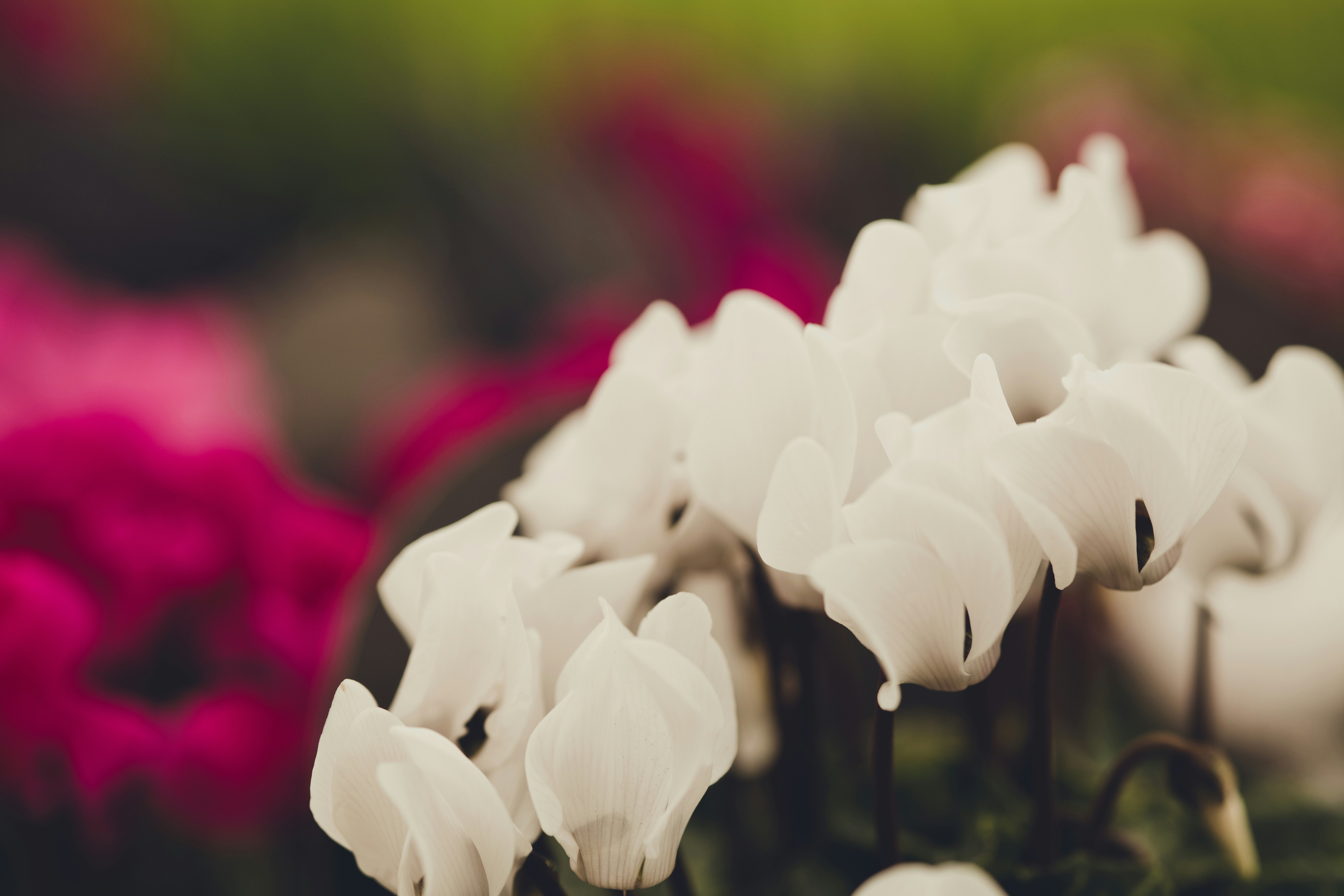 Photo by rrodriguesim