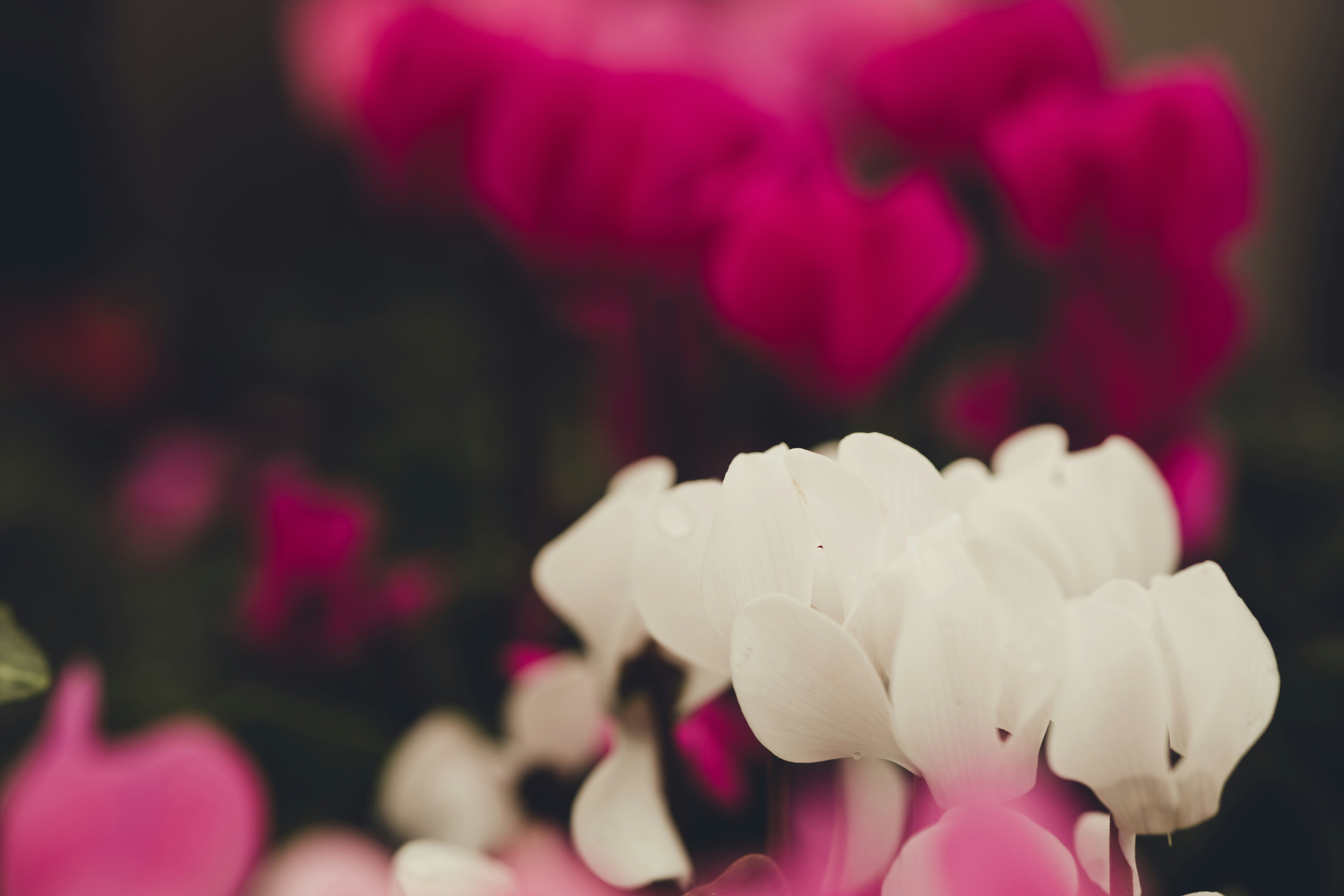 Photo by rrodriguesim