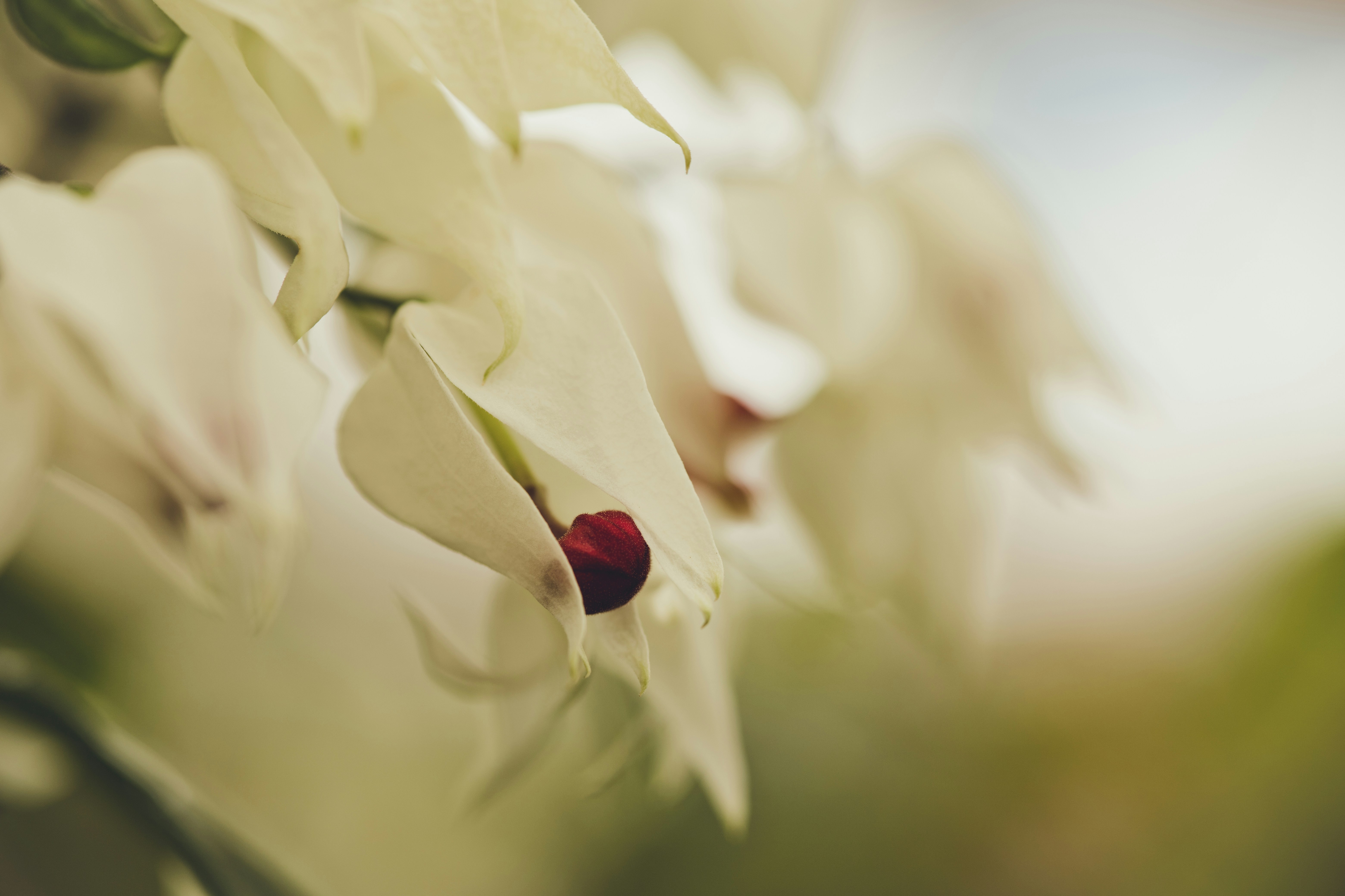 Photo by rrodriguesim