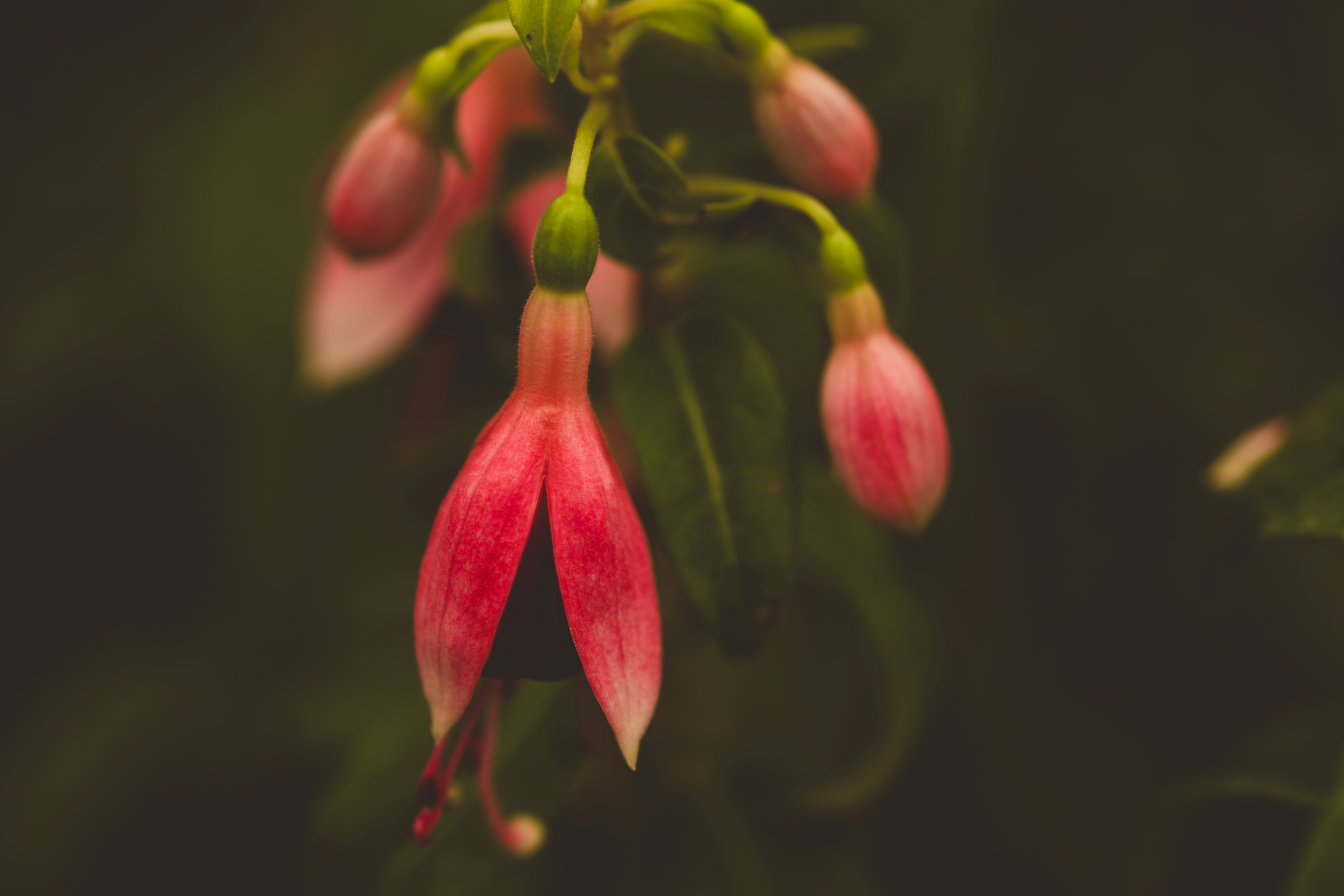 Photo by rrodriguesim