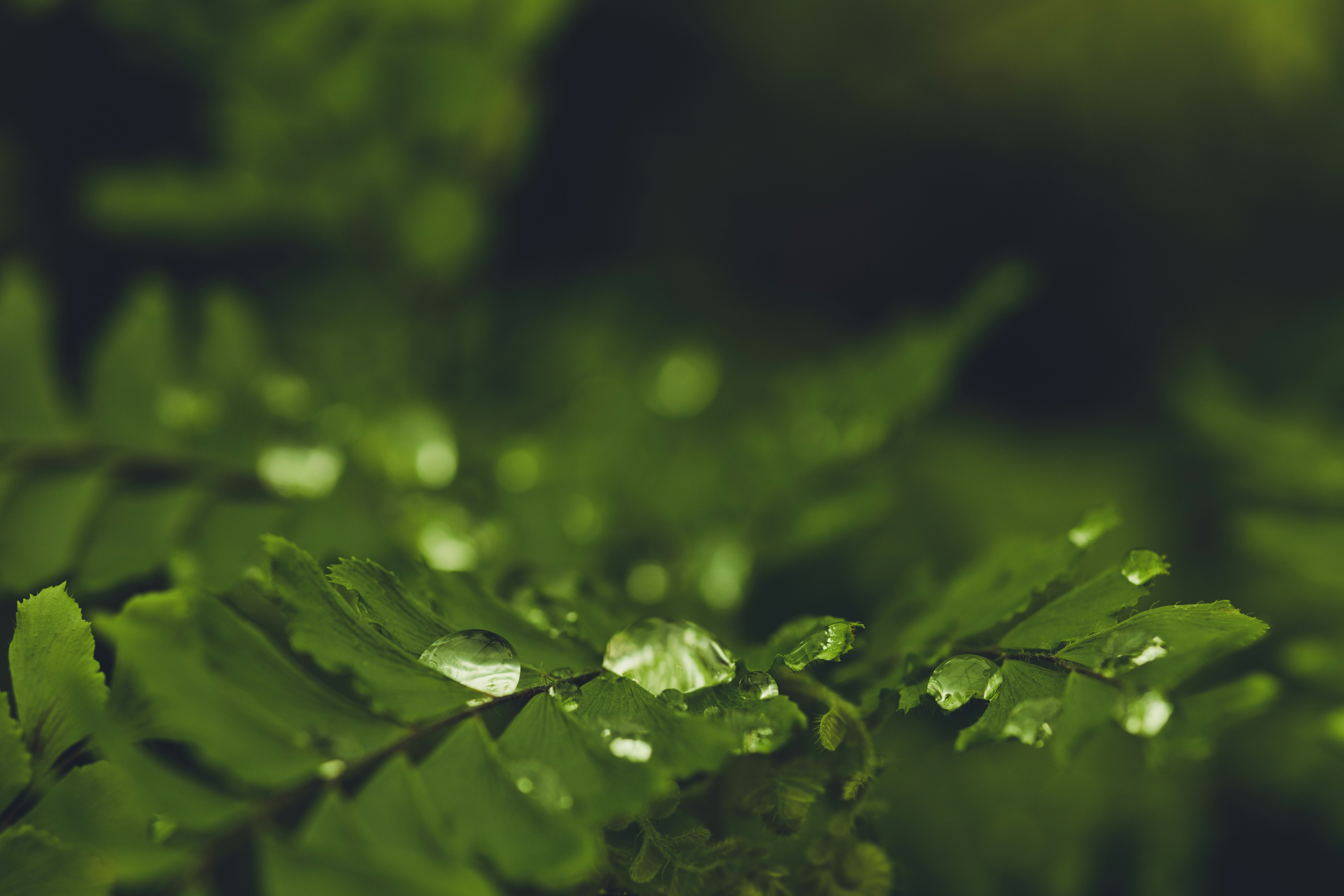 Photo by rrodriguesim