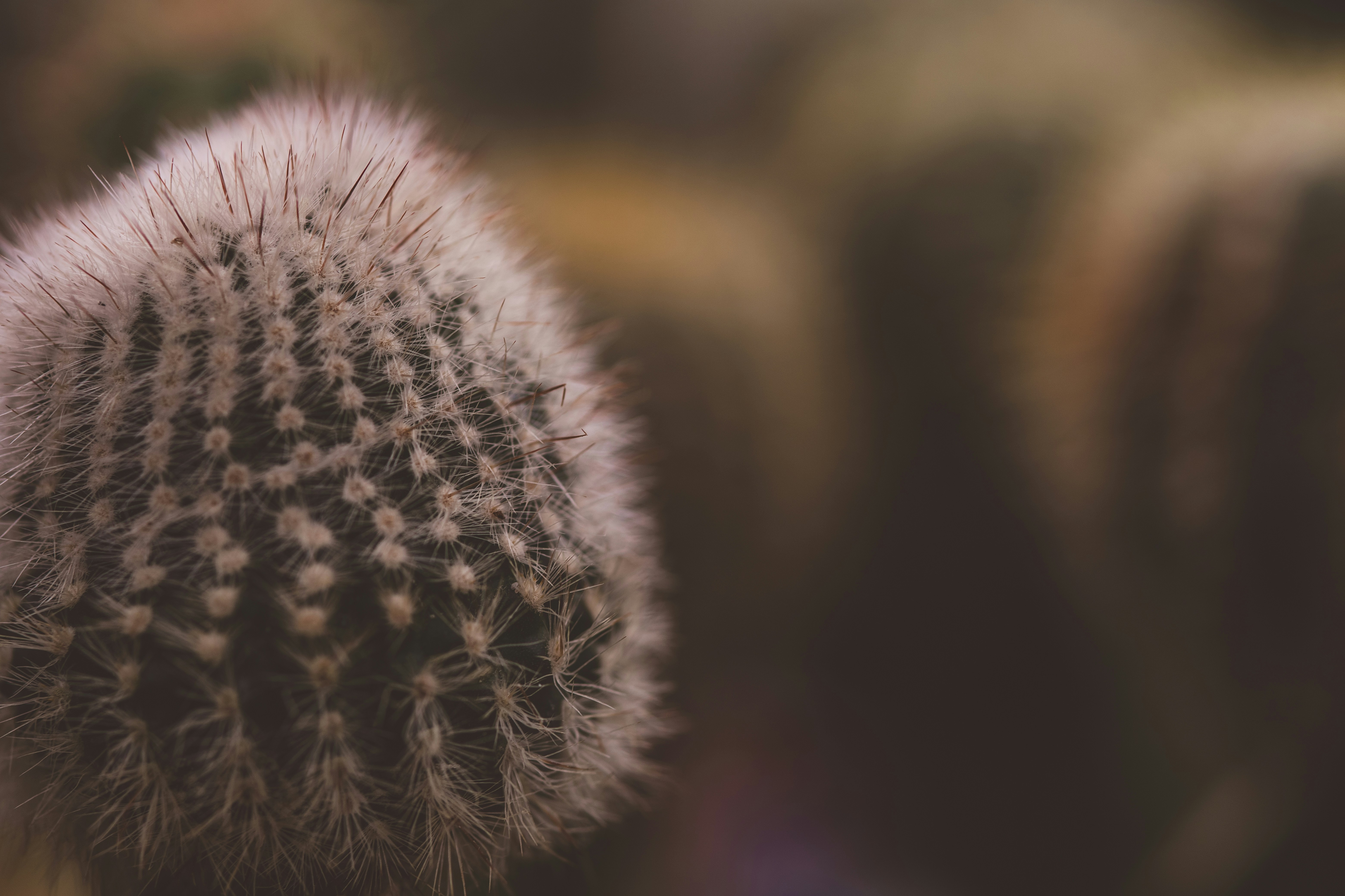 Photo by rrodriguesim