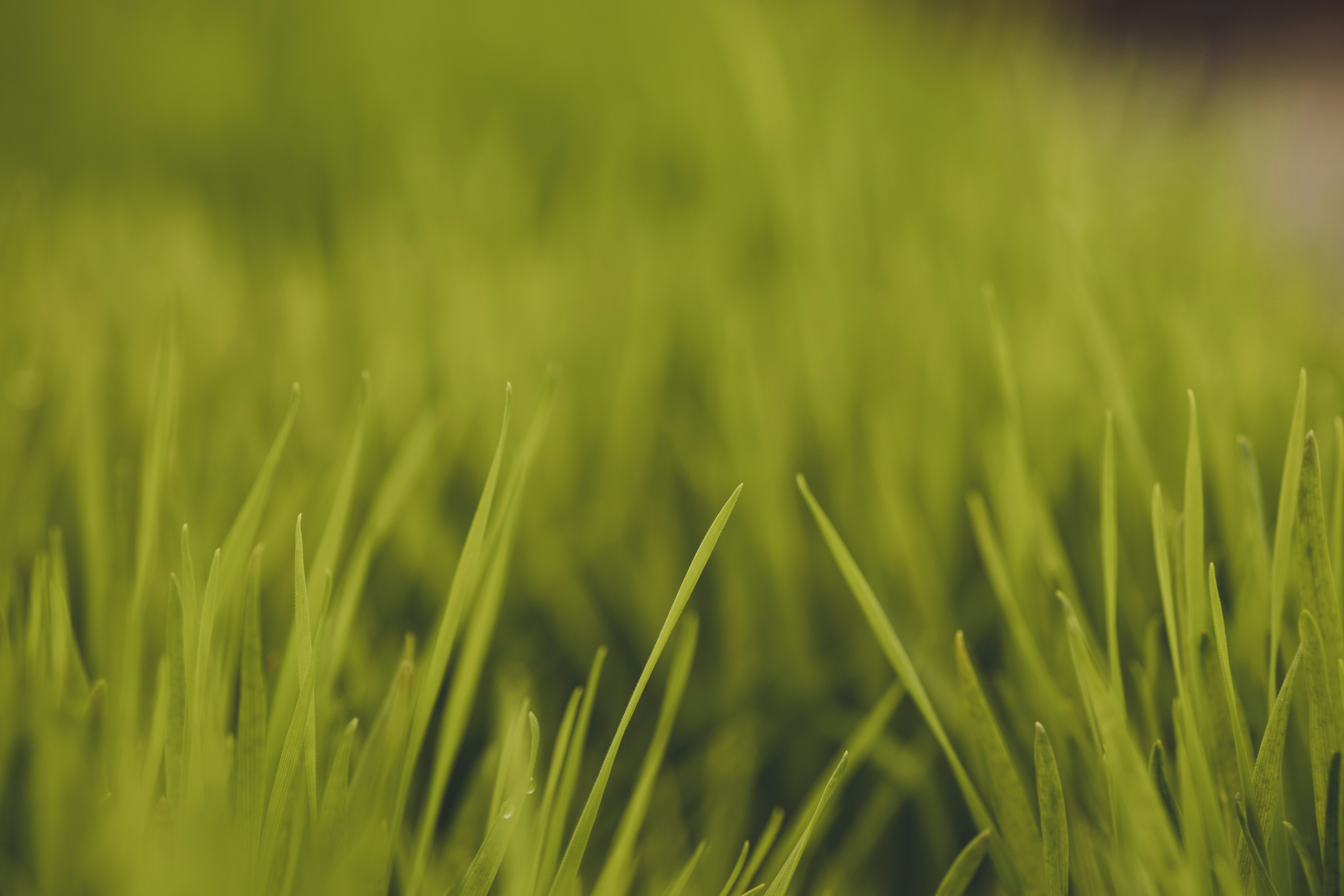 Photo by rrodriguesim