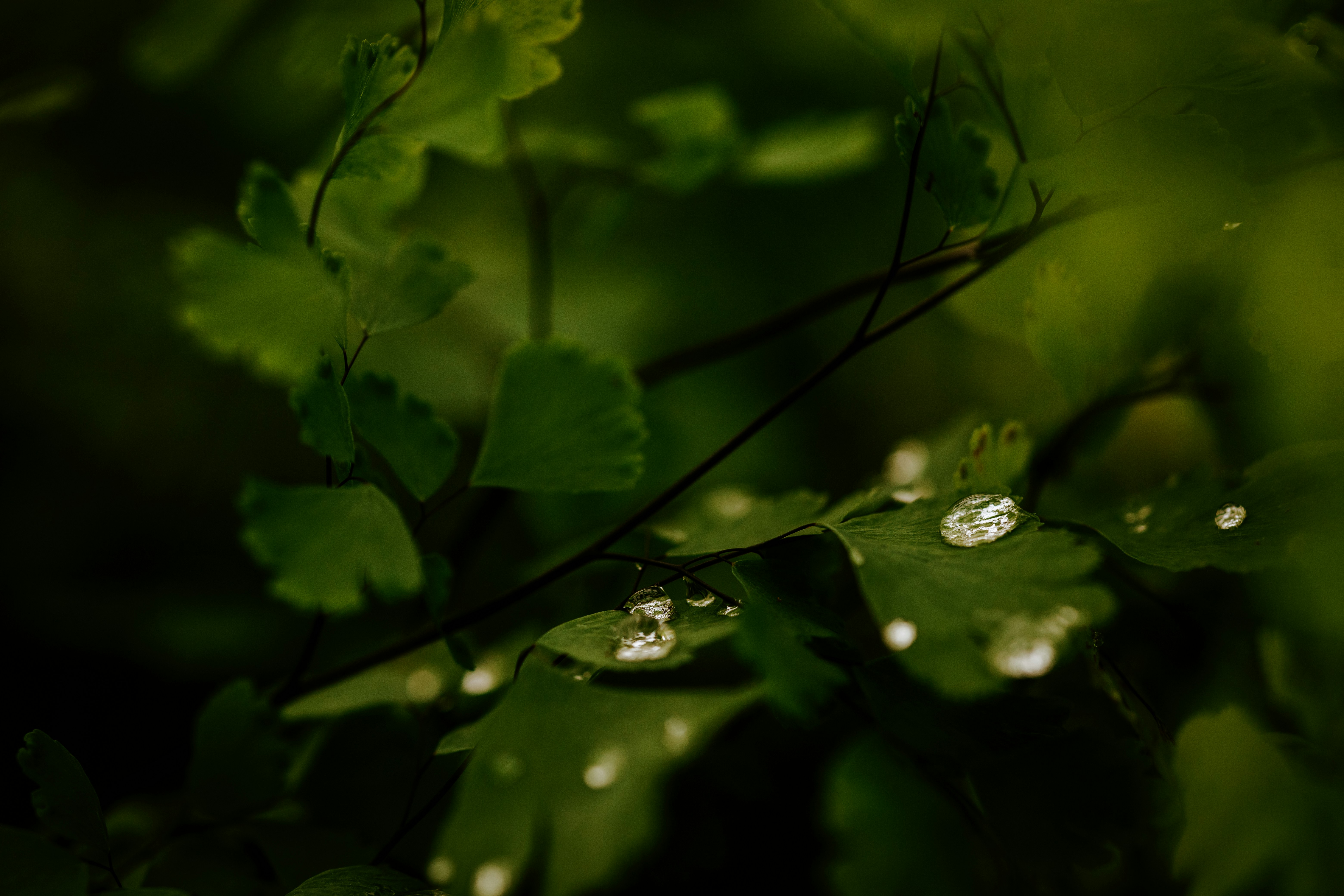 Photo by rrodriguesim