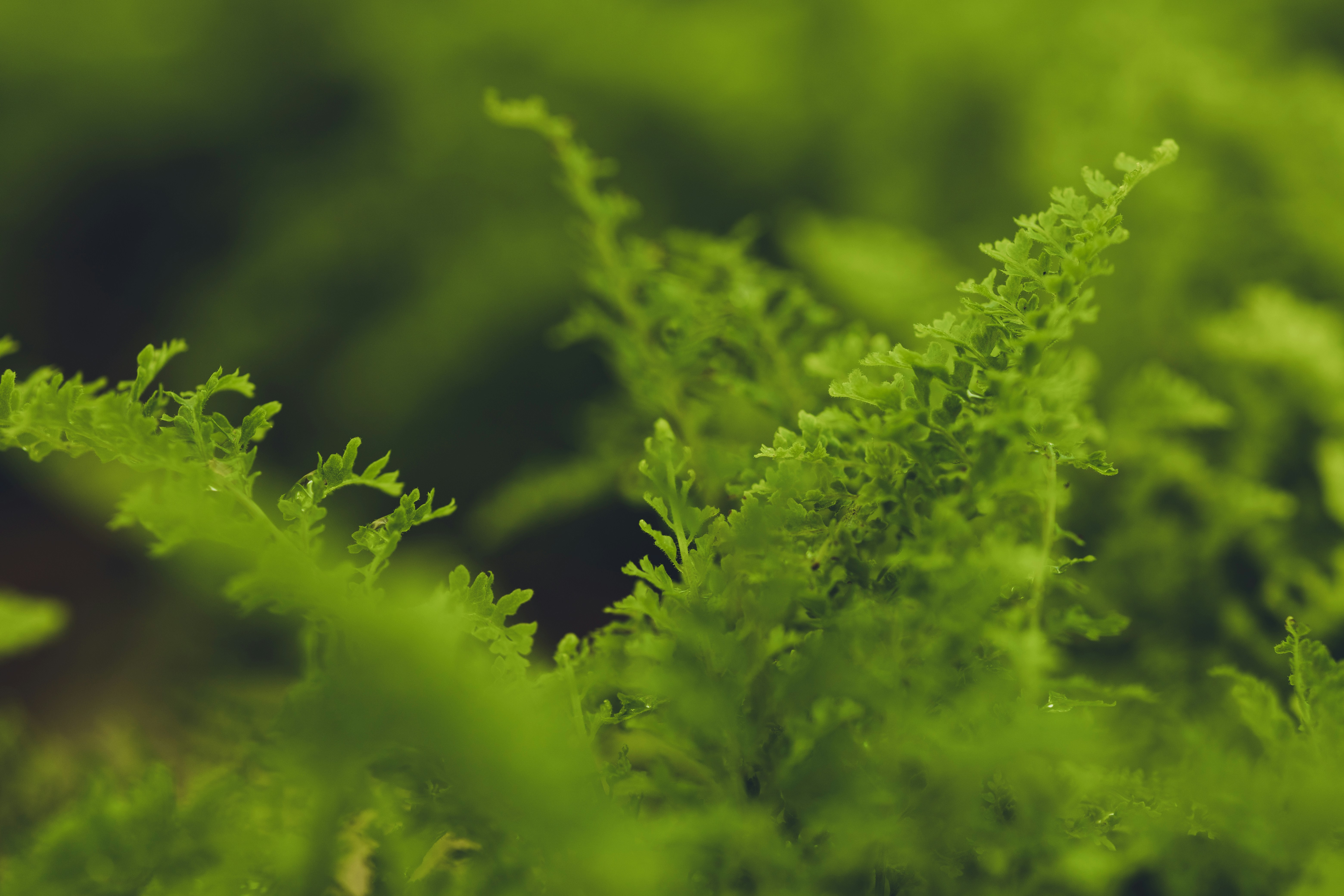 Photo by rrodriguesim