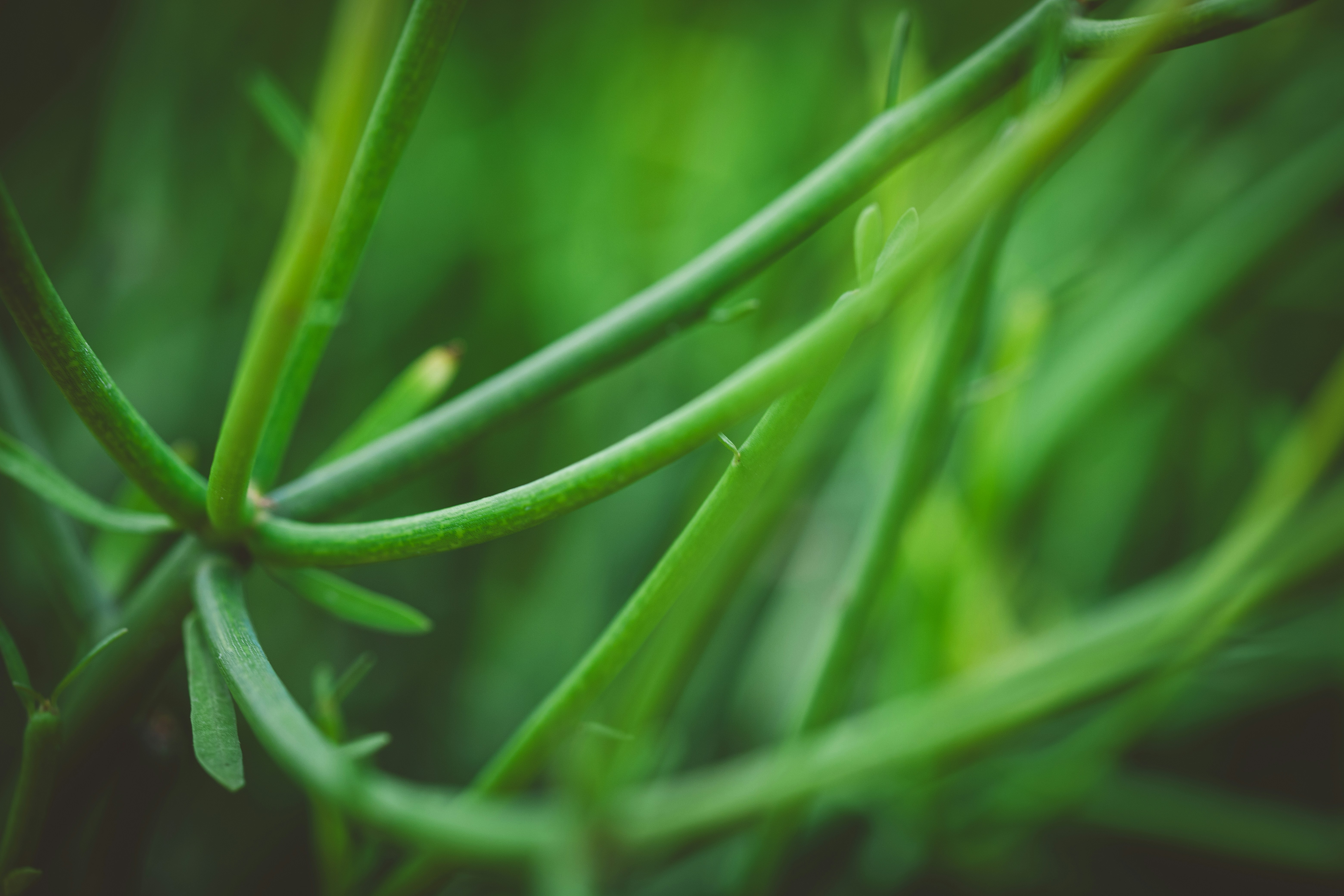 Photo by rrodriguesim