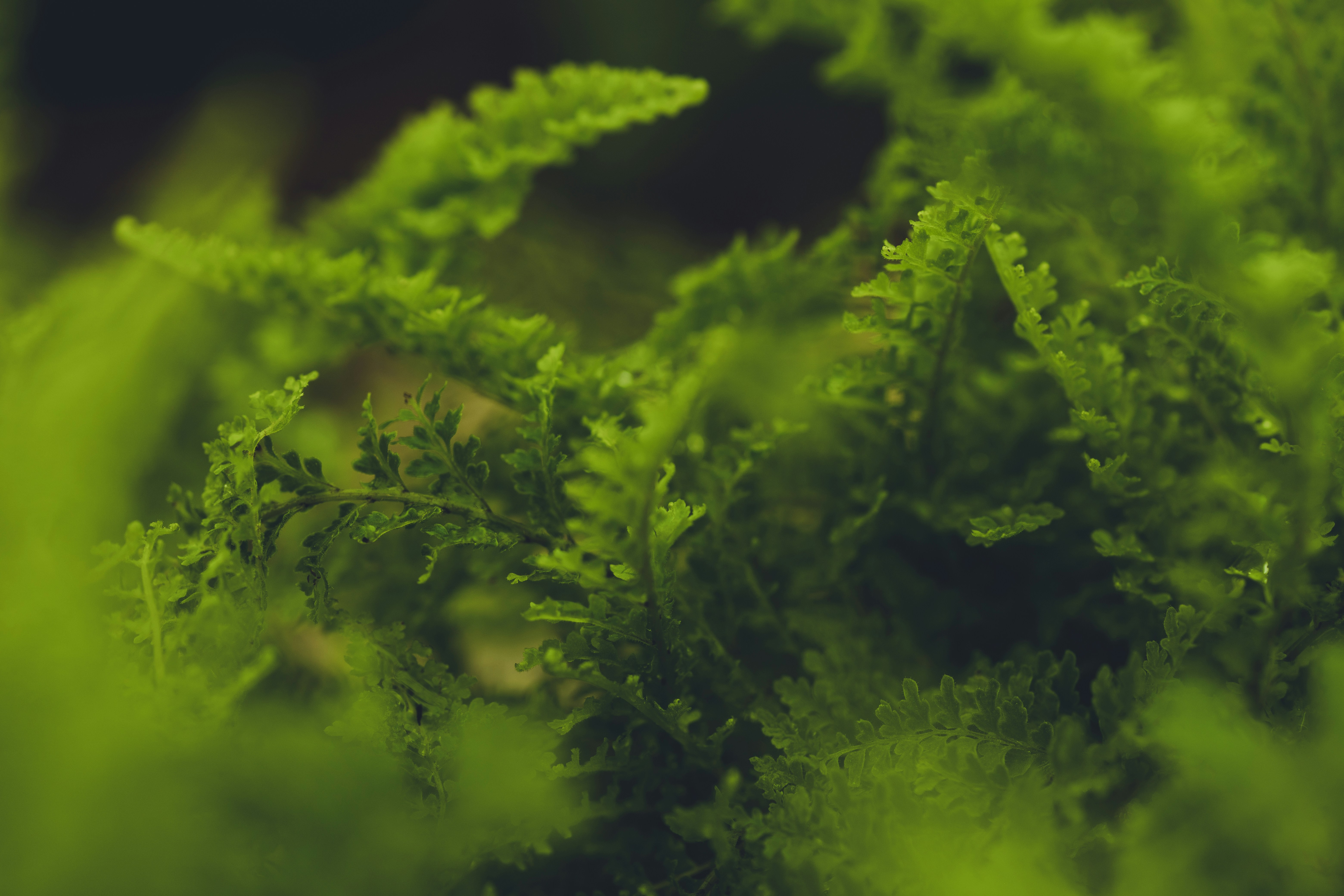 Photo by rrodriguesim