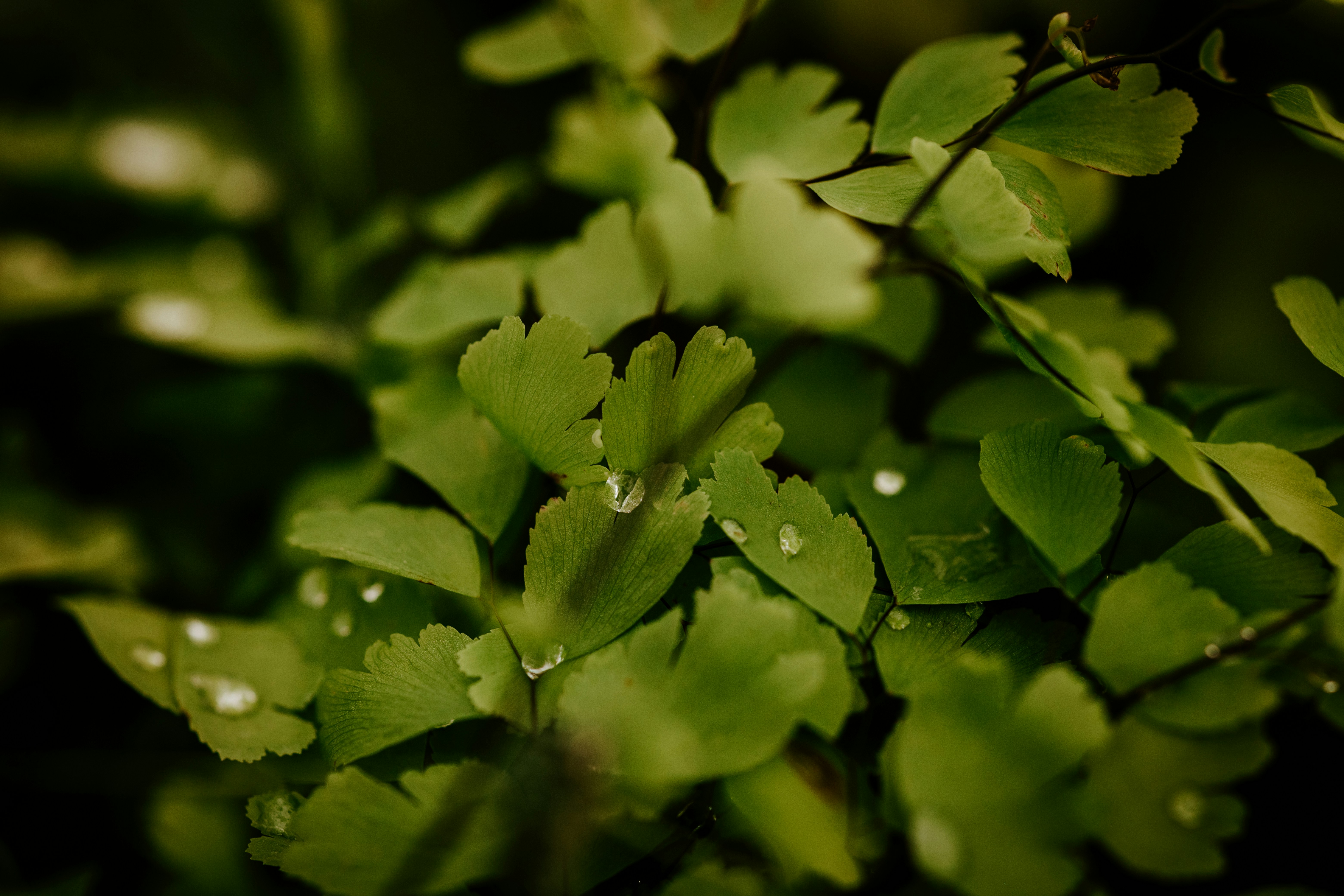 Photo by rrodriguesim