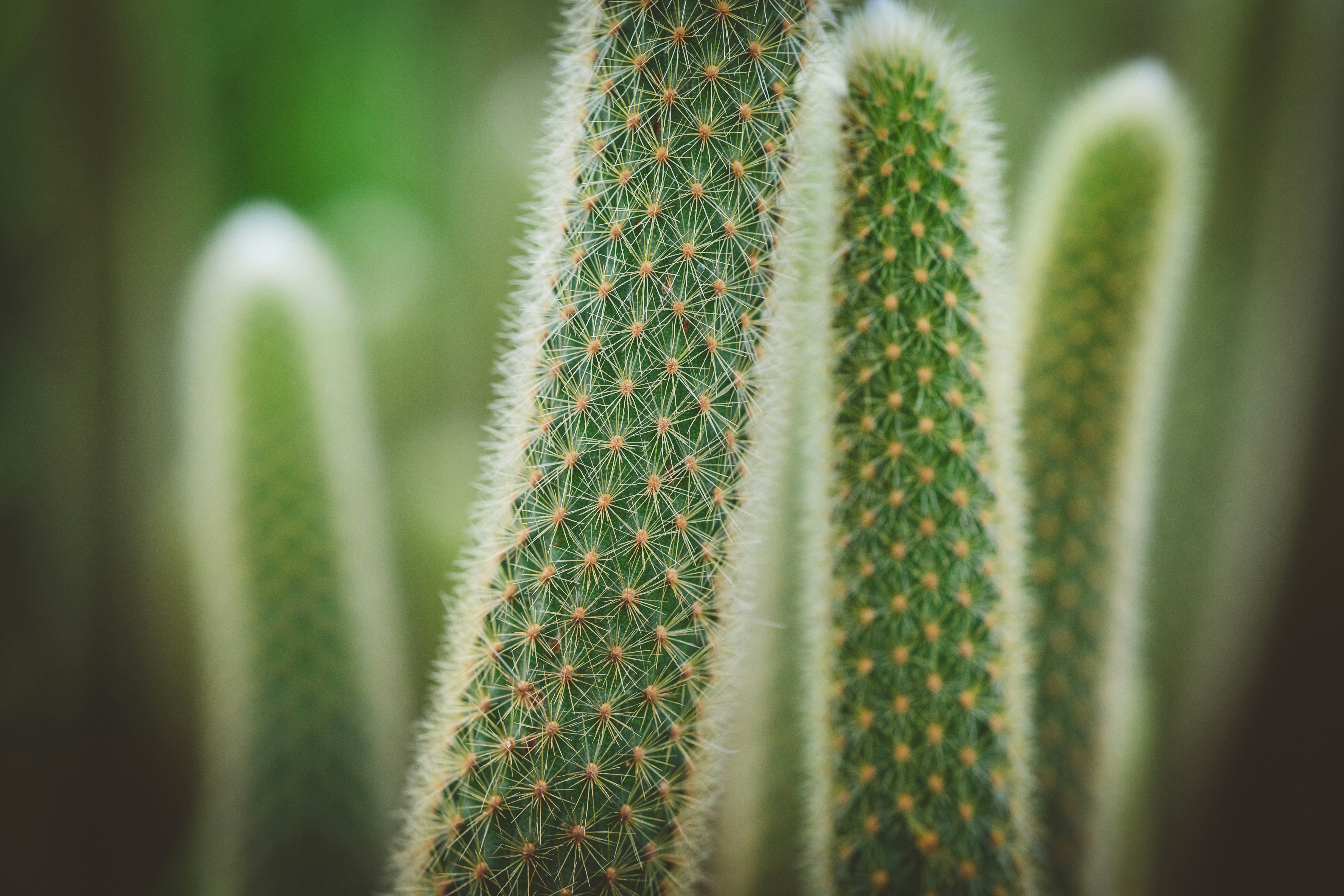 Photo by rrodriguesim