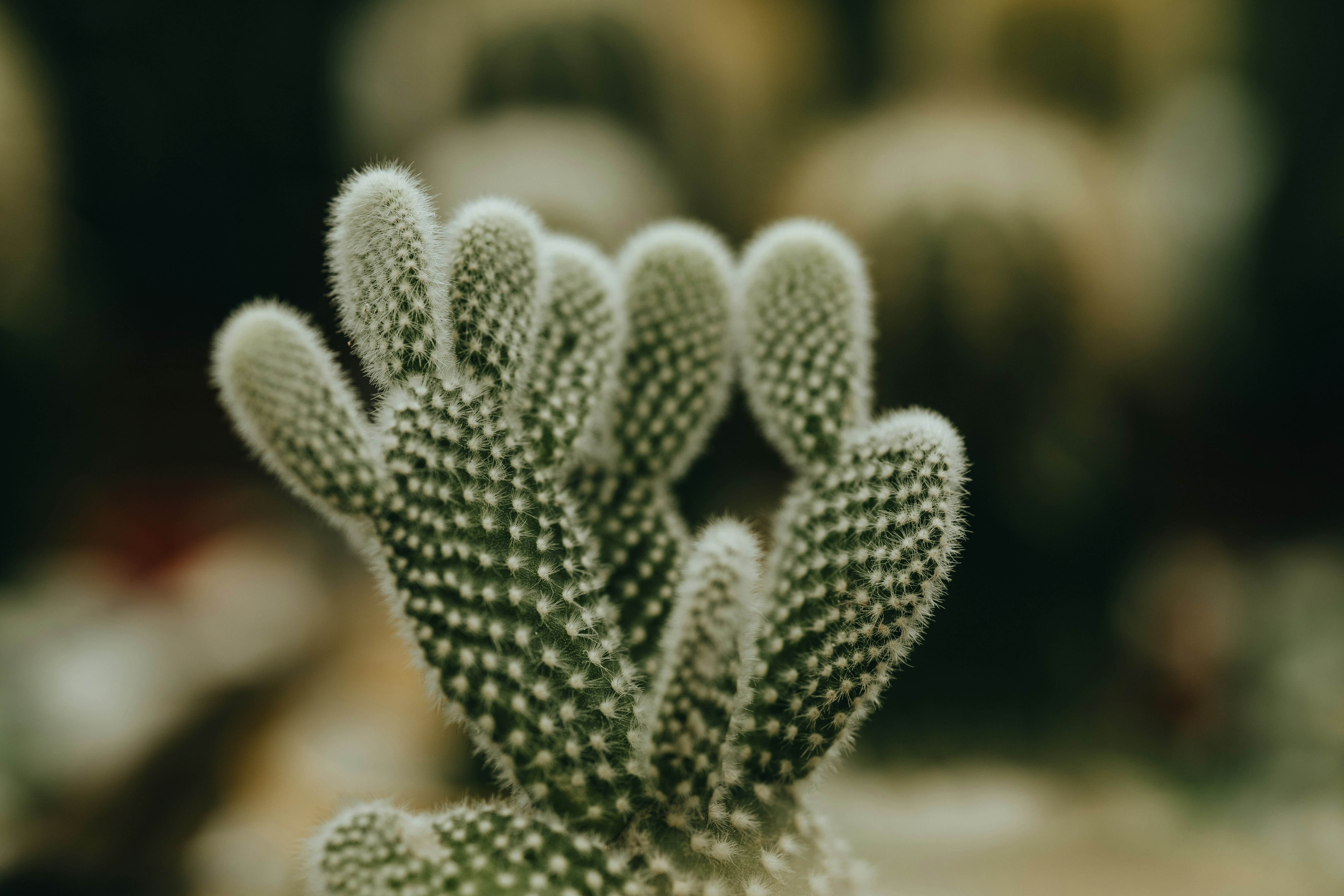 Photo by rrodriguesim