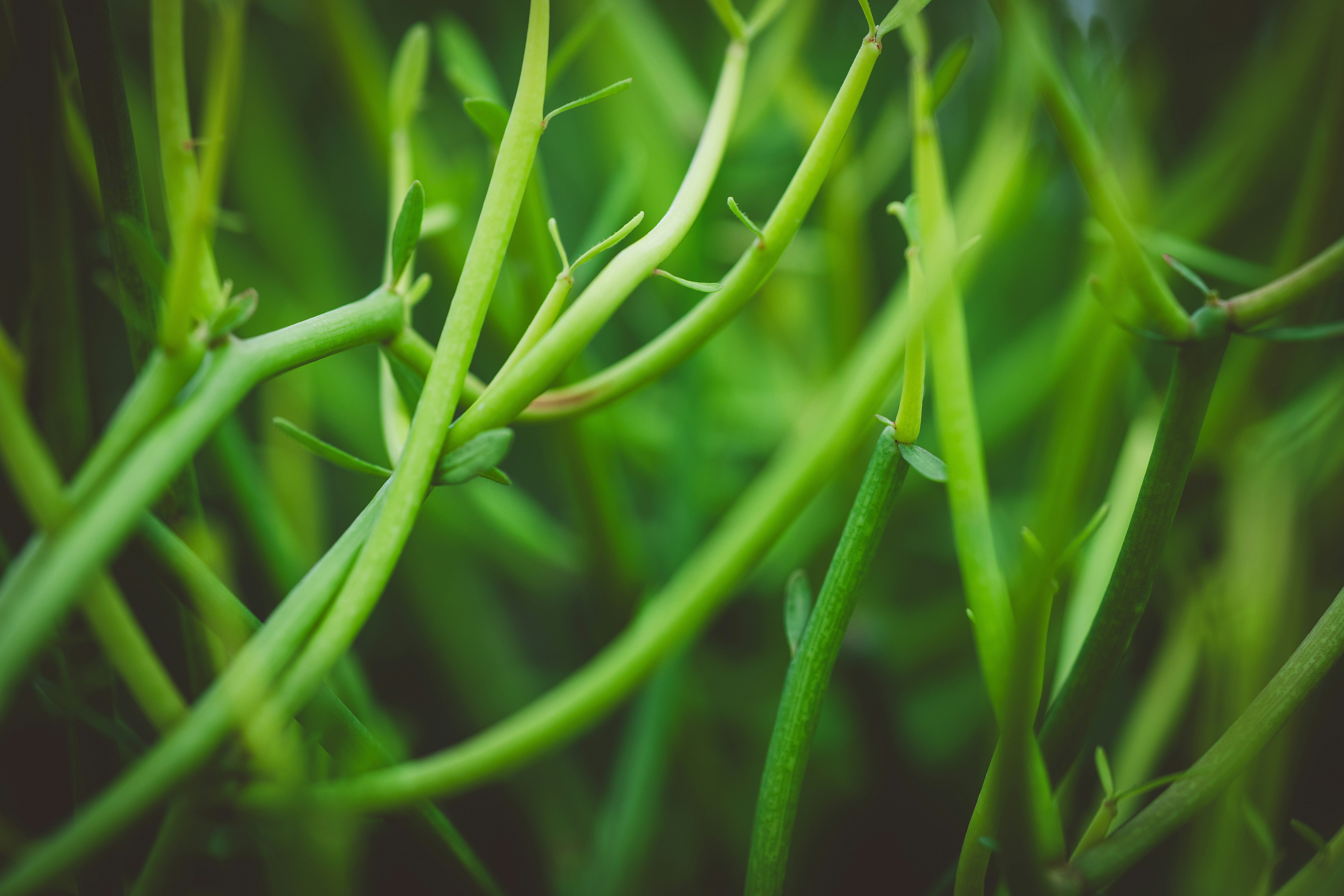 Photo by rrodriguesim