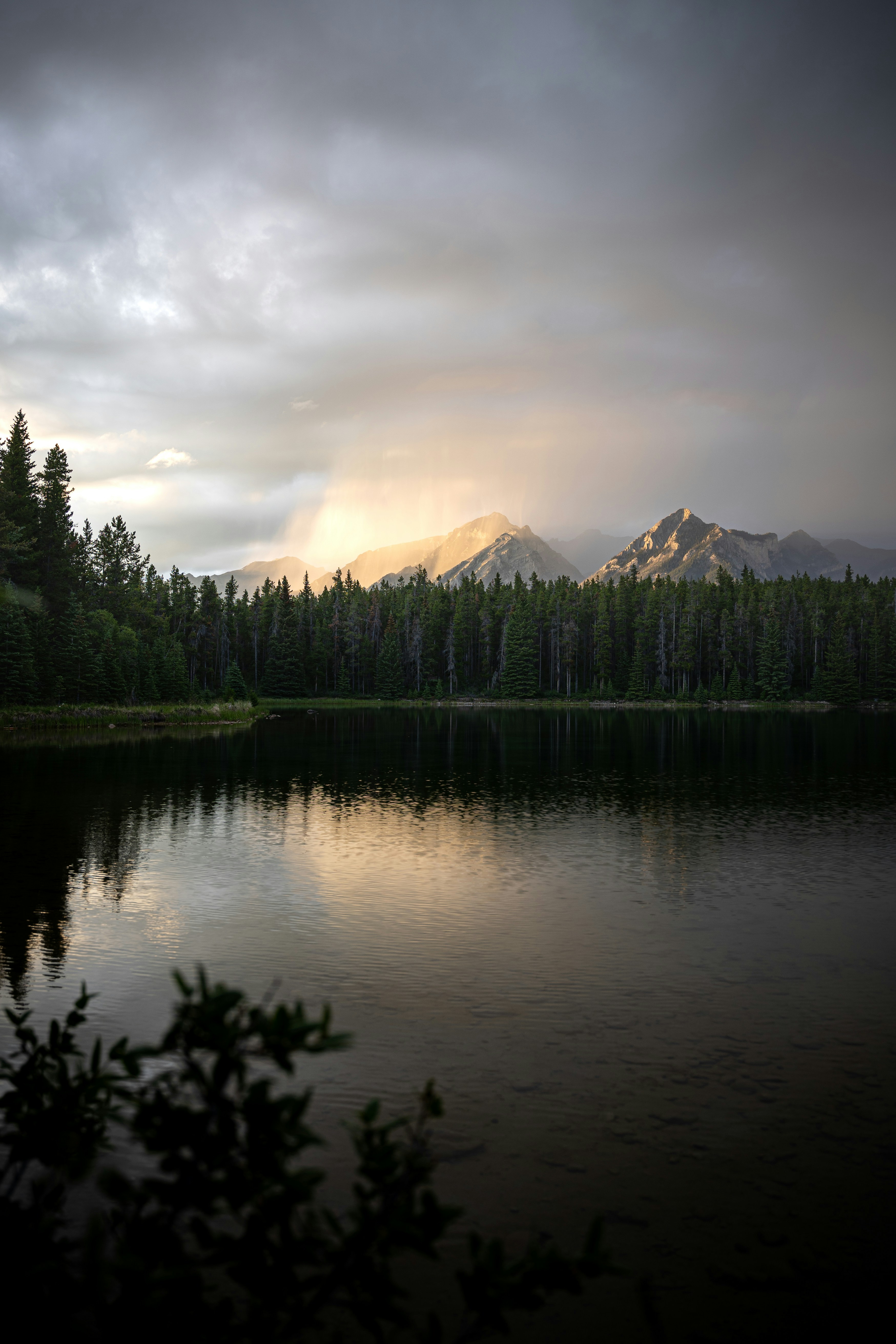 Photo by photography_silvie