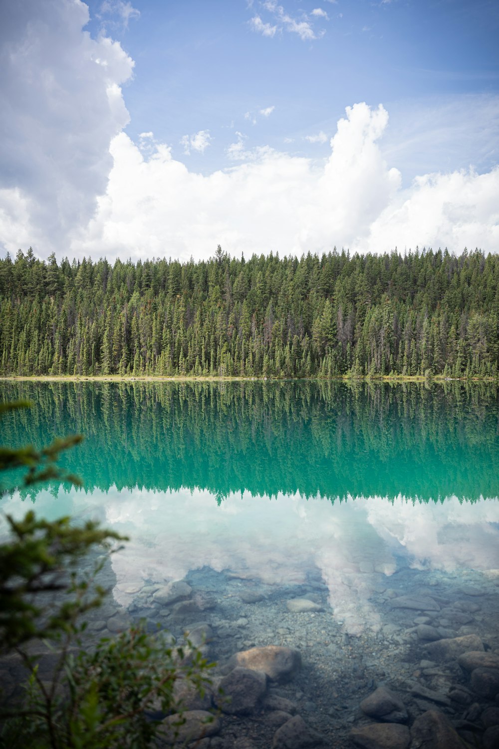 a large body of water surrounded by trees