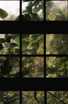 Sunlight filtering through a tinted window film showing reduced glare and heat.