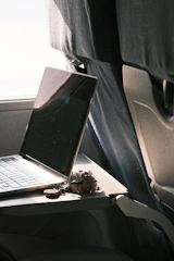 A friendly travel agent assisting a customer with flight tickets on a laptop