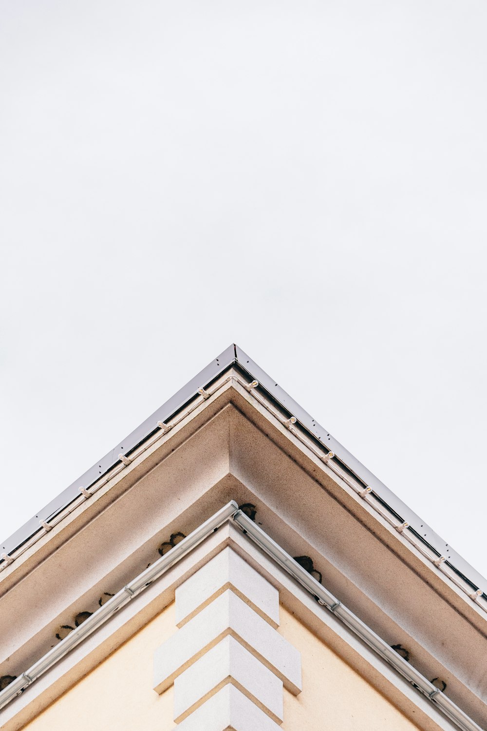 a bird is perched on top of a building