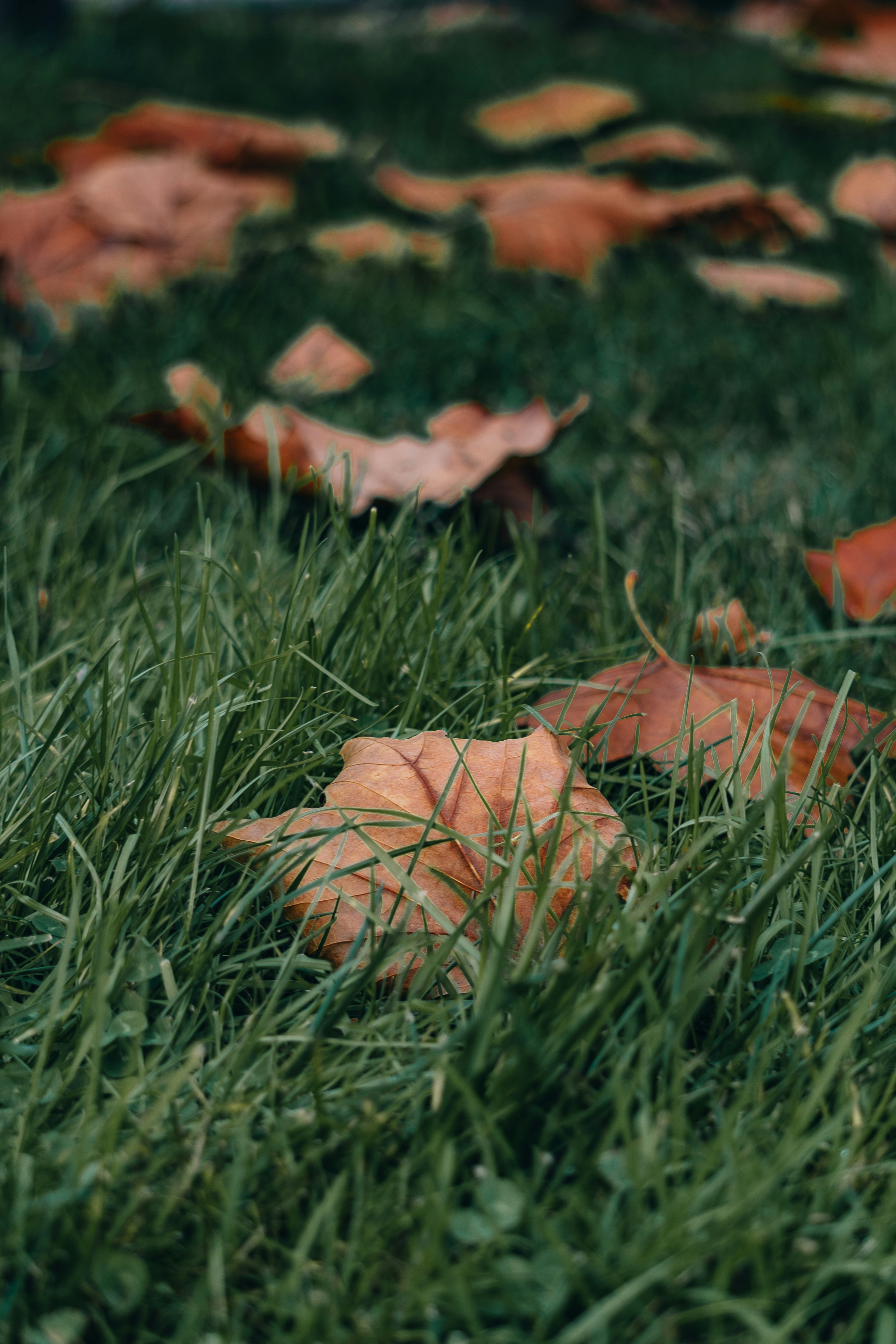 Photo by sergeyuxui