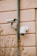 Two surveillance cameras mounted on an exterior wall made of pinkish-beige textured material. One camera is dome-shaped while the other is cylindrical, attached to a vertical metal pole.