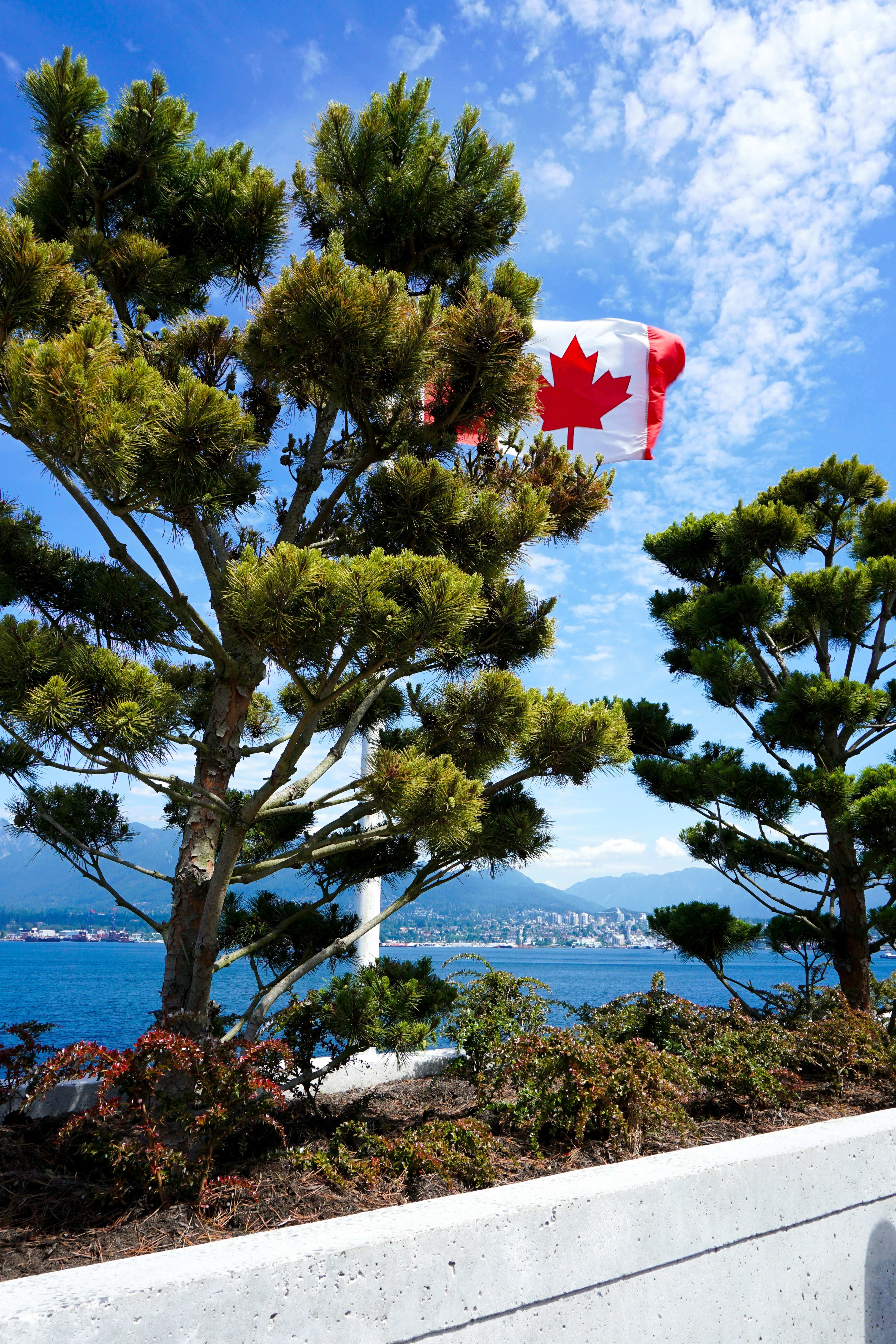 Canada vs UAE Permanent Residency Conditions Comparison 2023 Trends