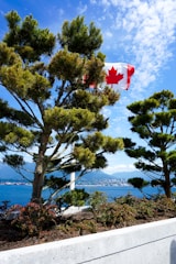 A Canadian flag waves prominently between two lush green trees, with a backdrop of clear blue skies and scattered white clouds. In the background, a body of water extends towards the horizon, with distant mountains and a cityscape visible.