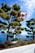A Canadian flag waves prominently between two lush green trees, with a backdrop of clear blue skies and scattered white clouds. In the background, a body of water extends towards the horizon, with distant mountains and a cityscape visible.