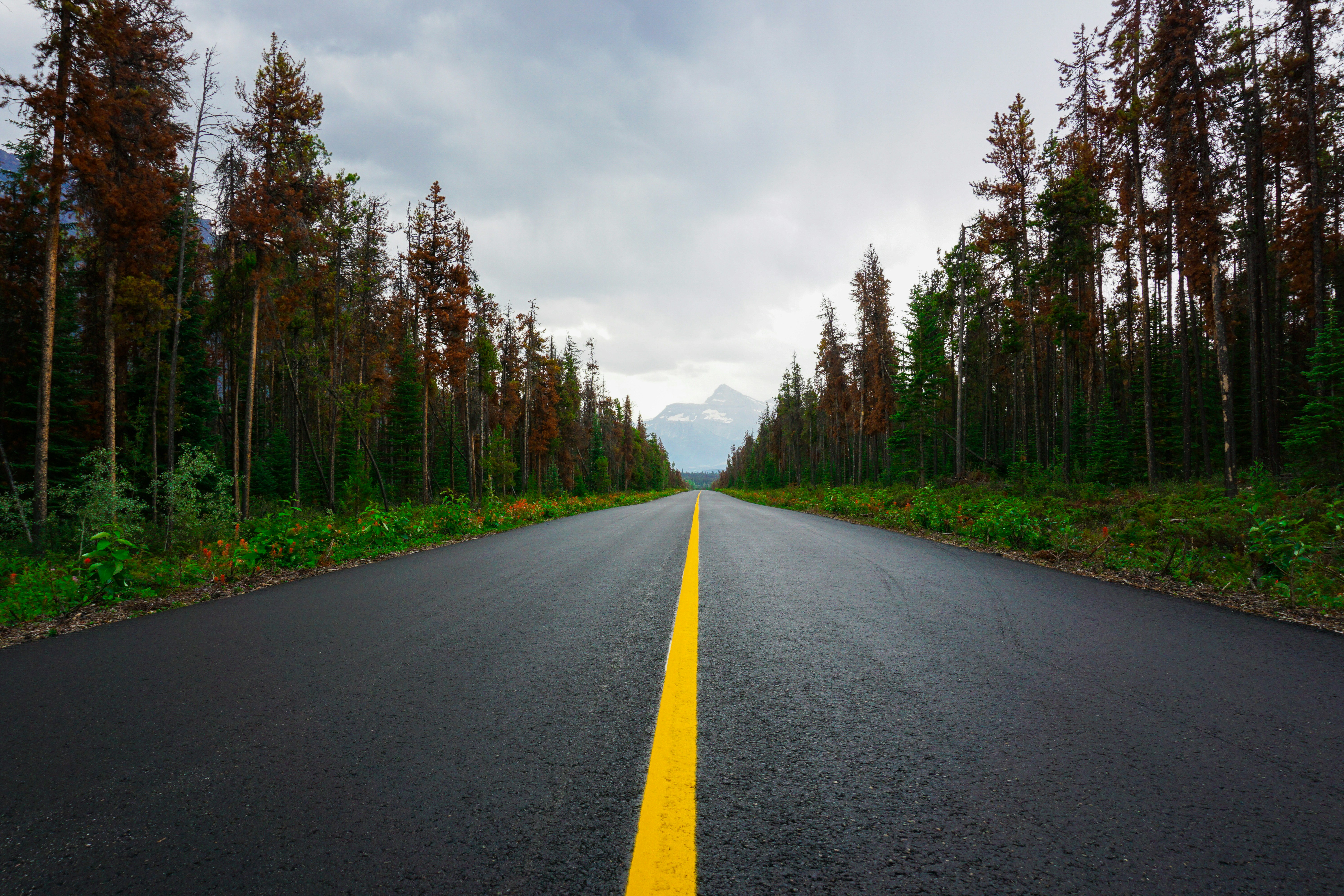 Photo by photography_silvie