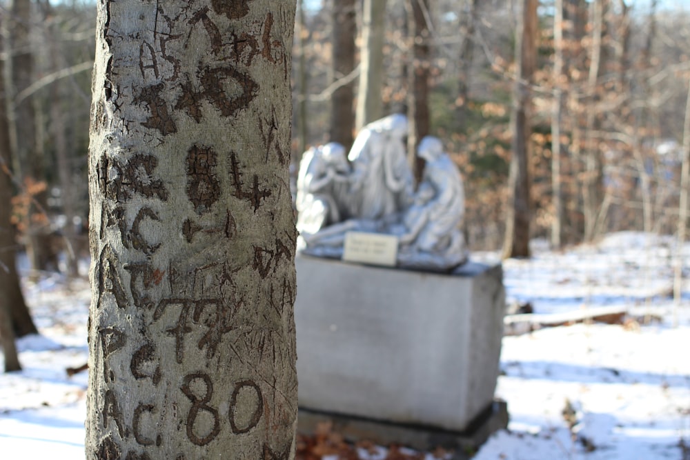 a tree that has some writing on it