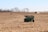 A vast, harvested cornfield with dry stalks left on the ground. A green grain cart is prominently placed in the foreground with a triangular caution sign. In the distance, a combine harvester is producing dust as it moves, and a truck is parked near the horizon. The field is bordered by leafless trees, under a clear blue sky.
