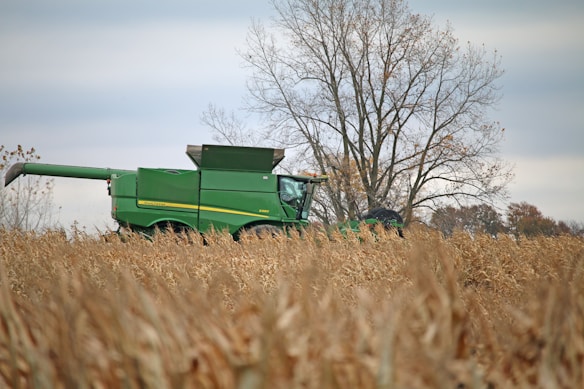 A large green combine harvester is pictured in the middle of a cornfield during harvesting season. The machine is surrounded by golden corn plants, with a nearly leafless deciduous tree standing in the background. The sky is overcast, giving the scene a somewhat muted tone.