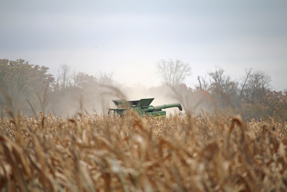 a combine of grain being harvested in a field