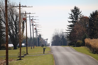 A rural road extends into the distance, flanked by grass on both sides. Tall utility poles line the left side of the road, some with orange markers or flags attached. Trees with autumn foliage provide a backdrop, and the sky is clear with a hint of blue.