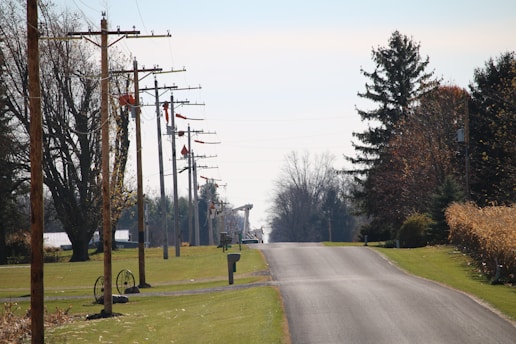 A rural road extends into the distance, flanked by grass on both sides. Tall utility poles line the left side of the road, some with orange markers or flags attached. Trees with autumn foliage provide a backdrop, and the sky is clear with a hint of blue.