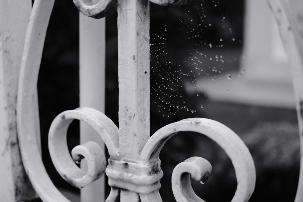 a black and white photo of a wrought iron gate
