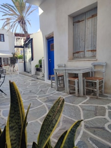 A sunlit Mediterranean terrace with pastel-colored walls, a table set with Le Coquers beverages, and olive branches swaying gently in the breeze.