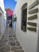 A charming narrow street in a Greek village adorned with vibrant bougainvillea and rustic stone walls.