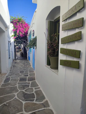 A charming narrow street in a Greek village adorned with vibrant bougainvillea and rustic stone walls.