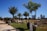 A landscaped garden area with several large palm trees and potted plants. The scene includes a pathway leading past a modern structure with glass walls, and various large pots with plants lining the walkway. Skyscrapers can be seen in the background, indicating an urban setting. Blue sky and daylight suggest a sunny, clear day.