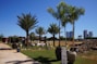A landscaped garden area with several large palm trees and potted plants. The scene includes a pathway leading past a modern structure with glass walls, and various large pots with plants lining the walkway. Skyscrapers can be seen in the background, indicating an urban setting. Blue sky and daylight suggest a sunny, clear day.